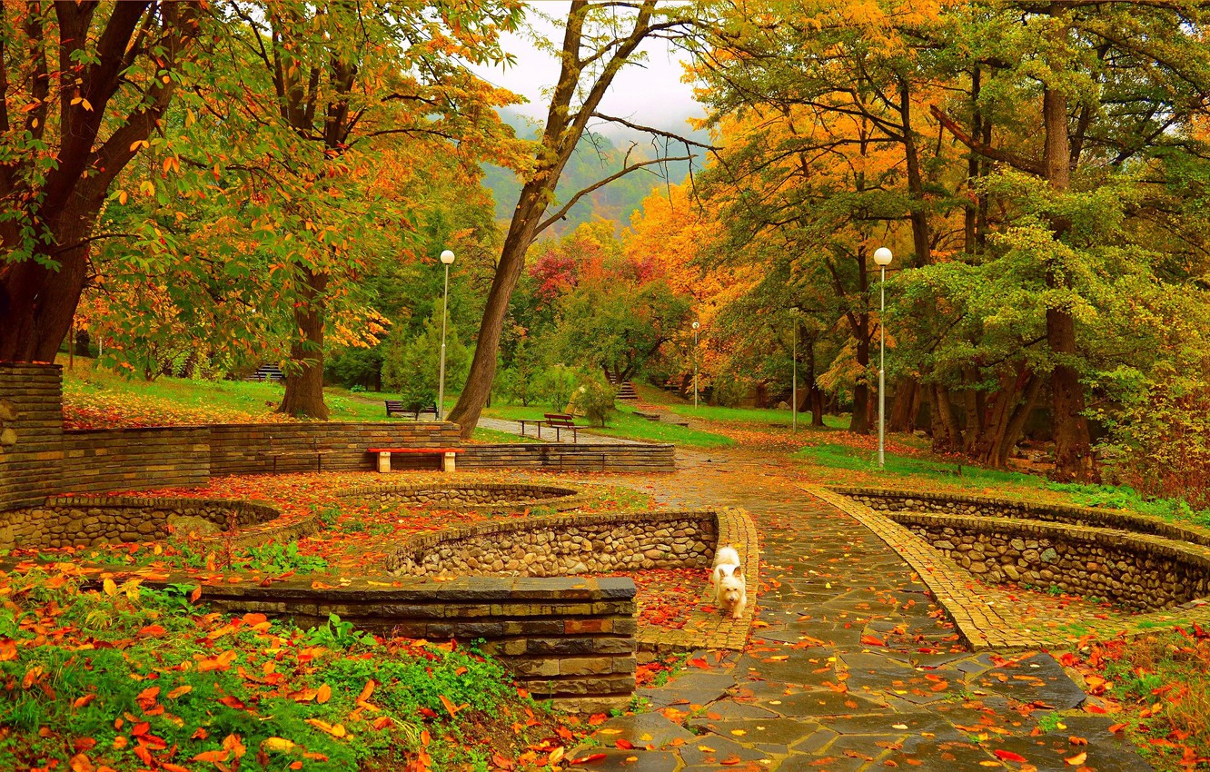 Bench And Trees From Autumn Park In Fall Wallpapers