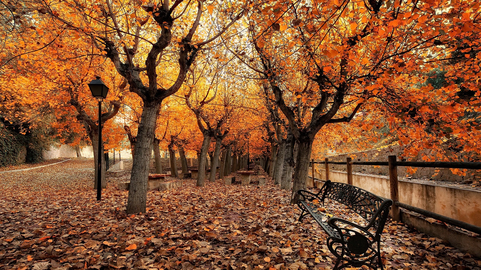 Bench And Trees From Autumn Park In Fall Wallpapers