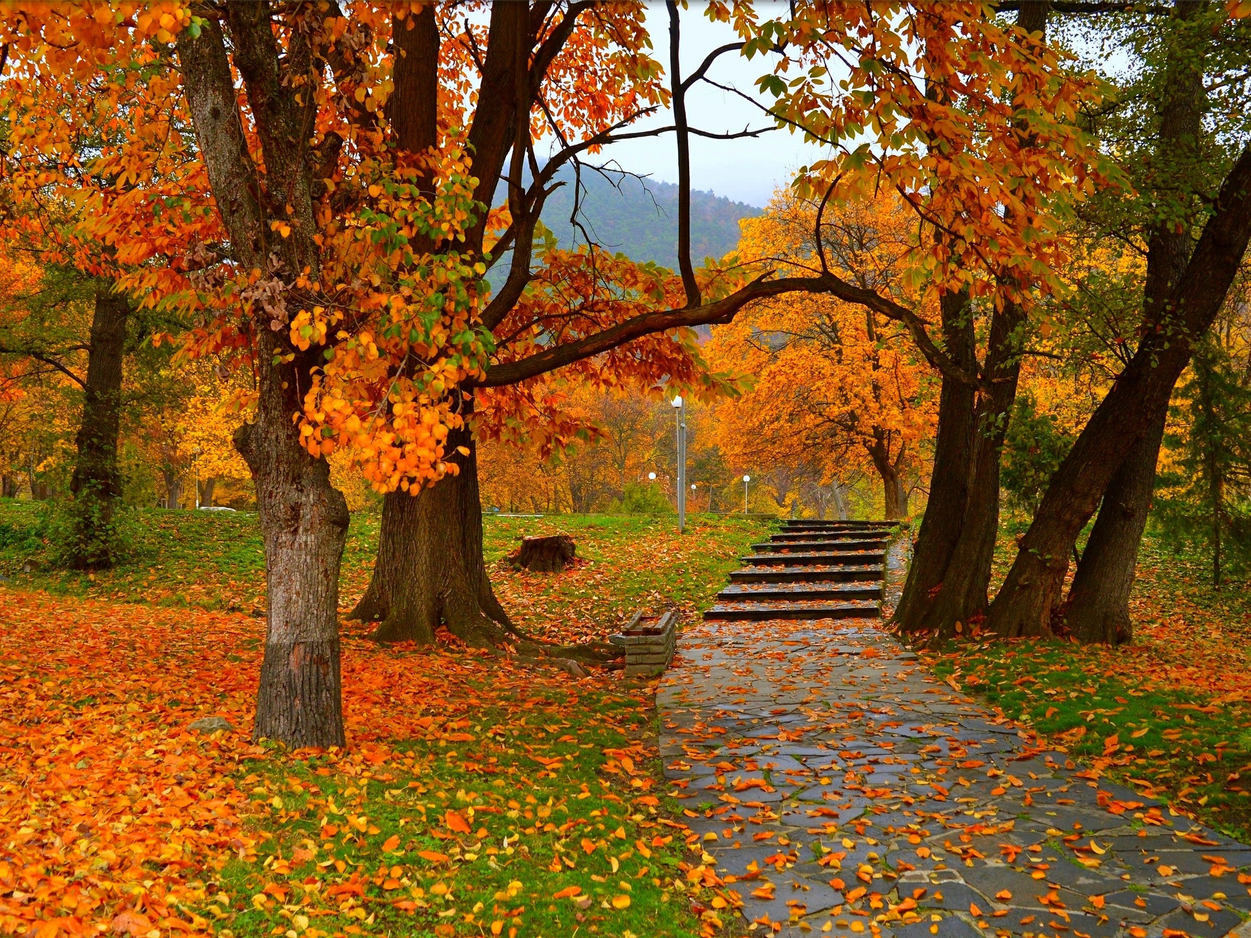 Bench And Trees From Autumn Park In Fall Wallpapers