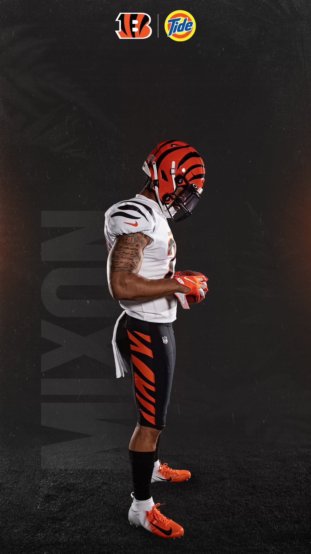 Bengals Wallpapers