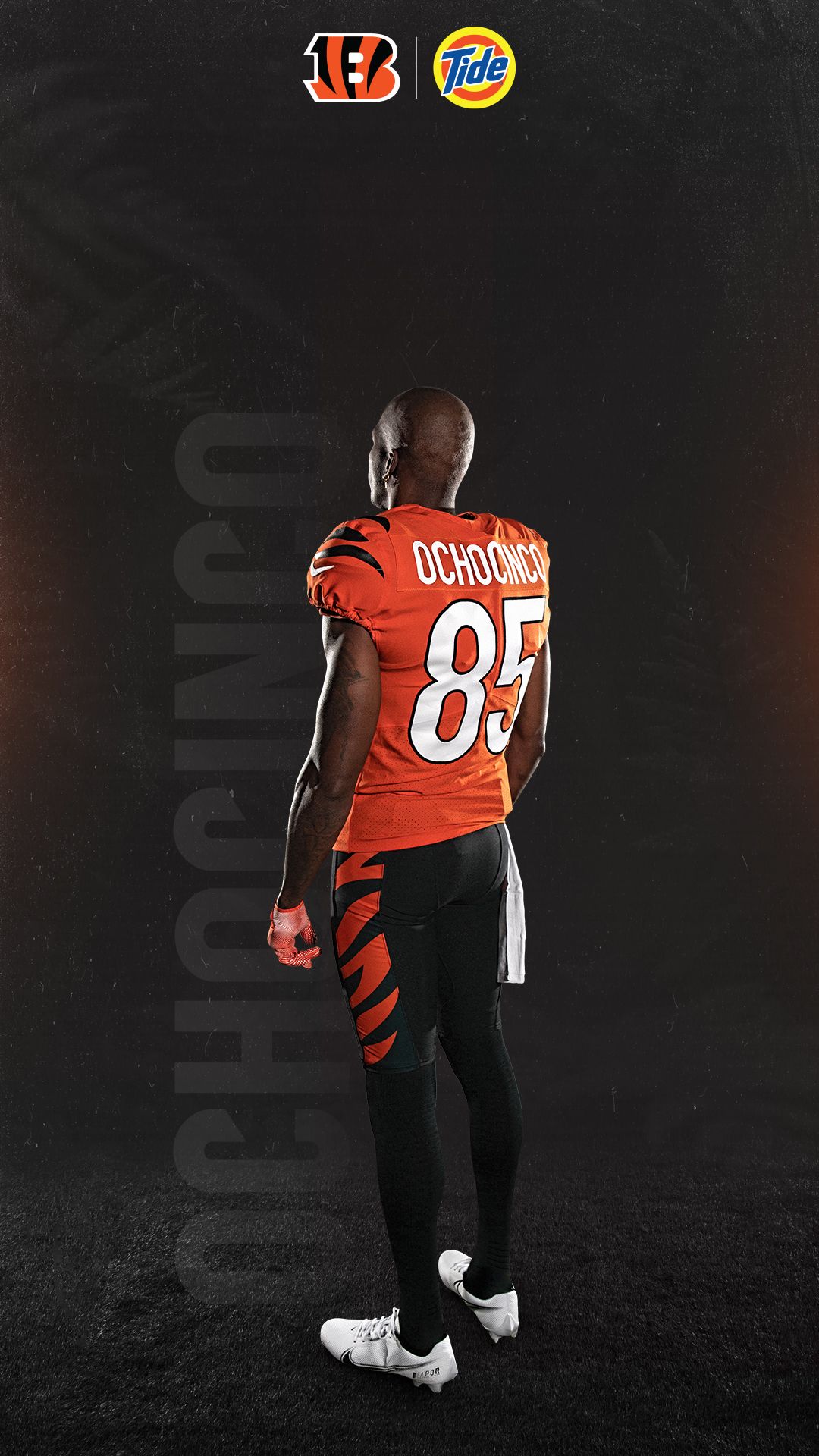 Bengals Wallpapers