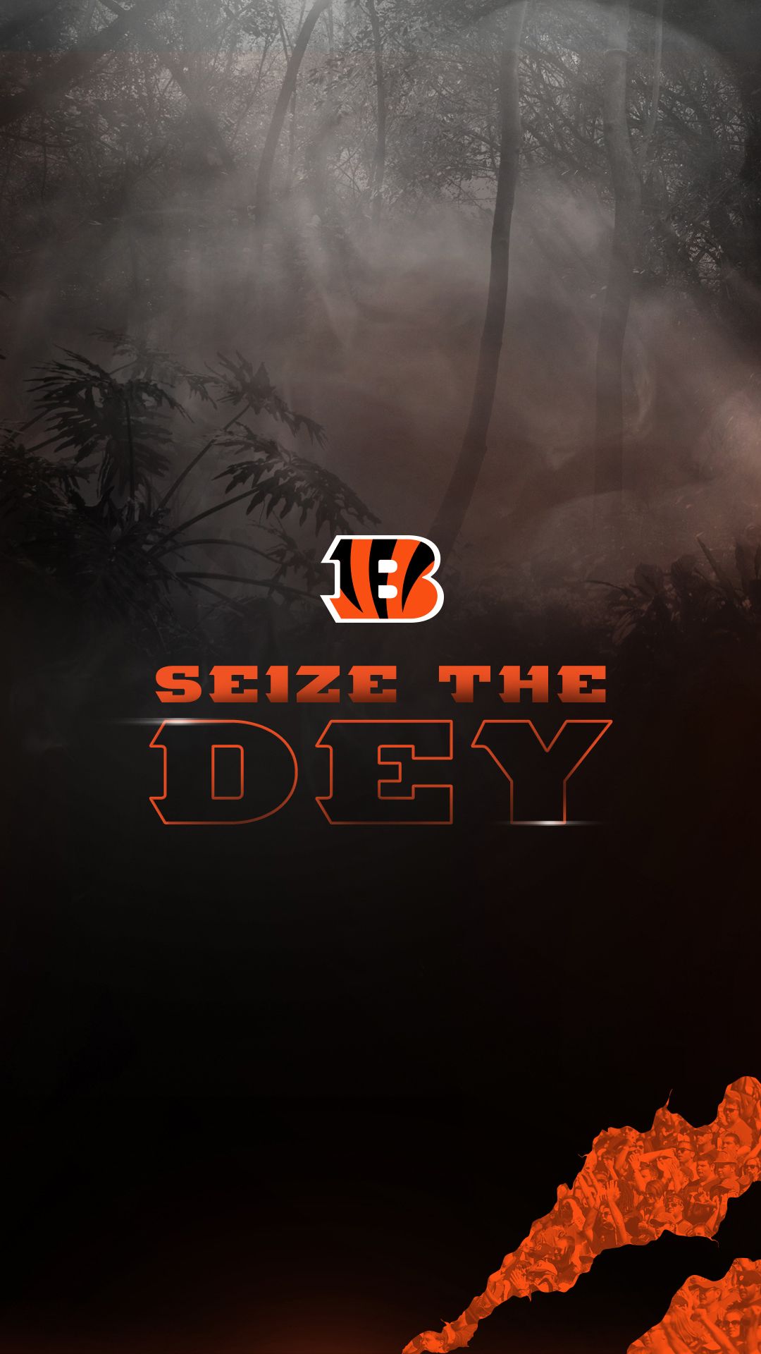 Bengals Wallpapers