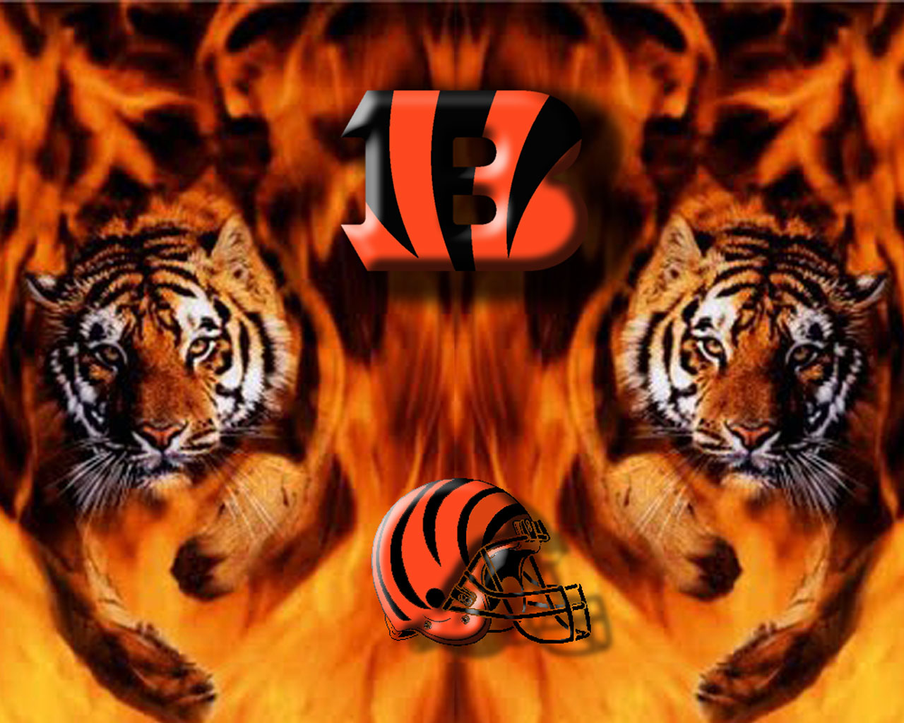 Bengals Wallpapers