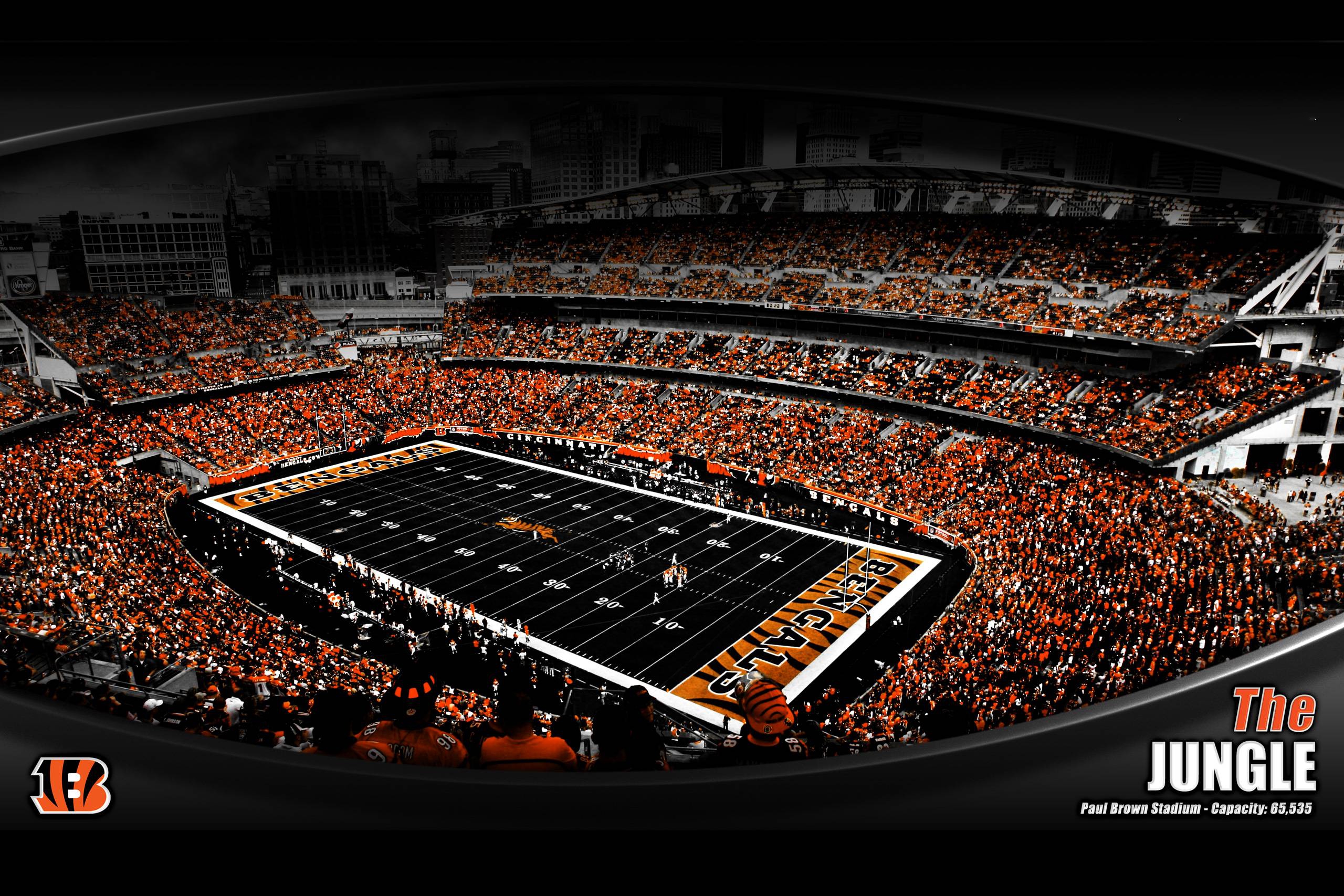 Bengals Wallpapers