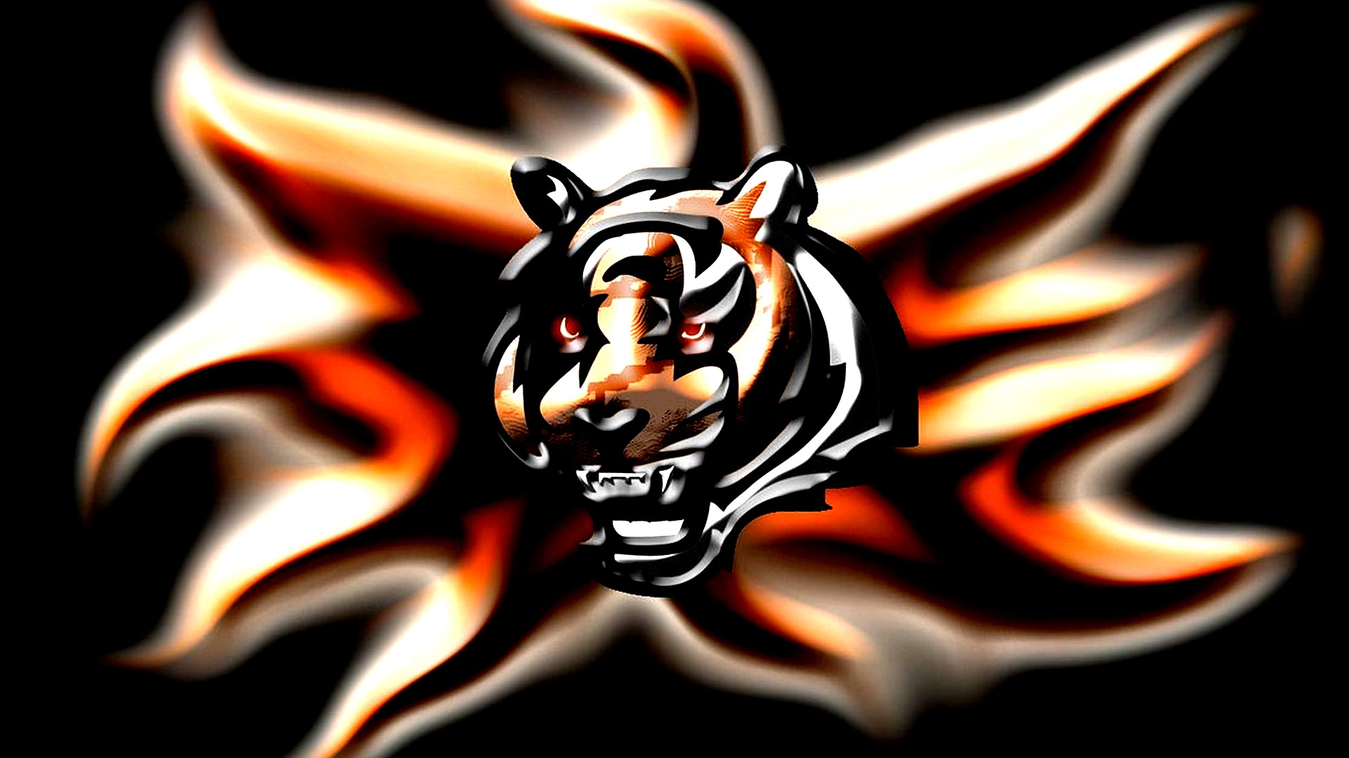 Bengals Wallpapers