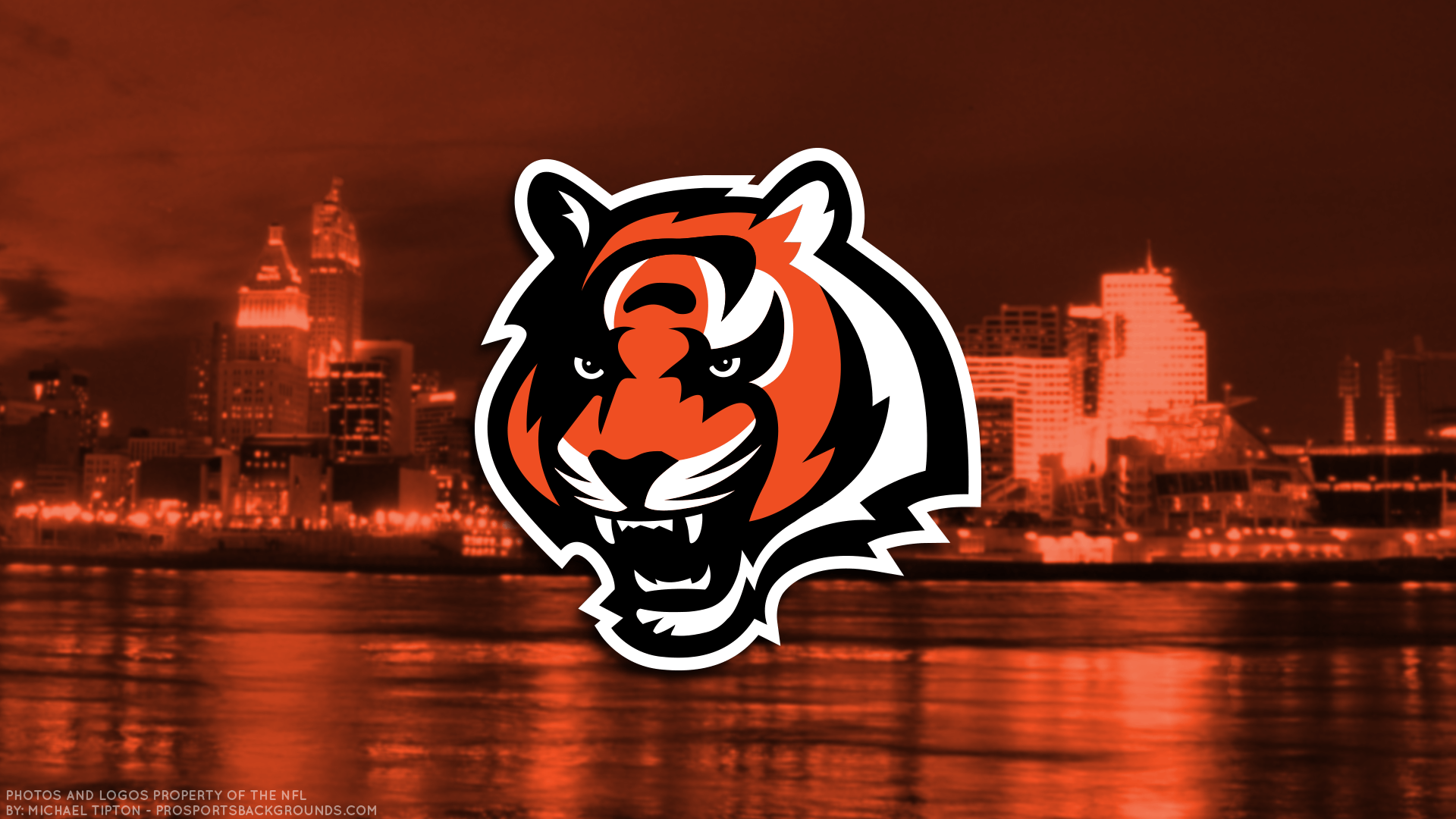 Bengals Wallpapers