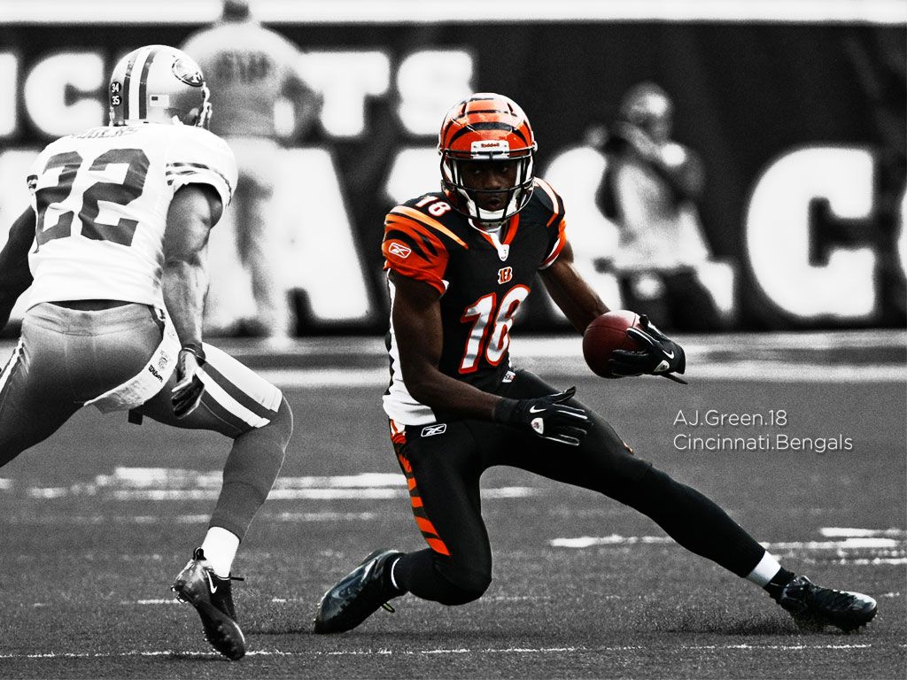 Bengals Wallpapers