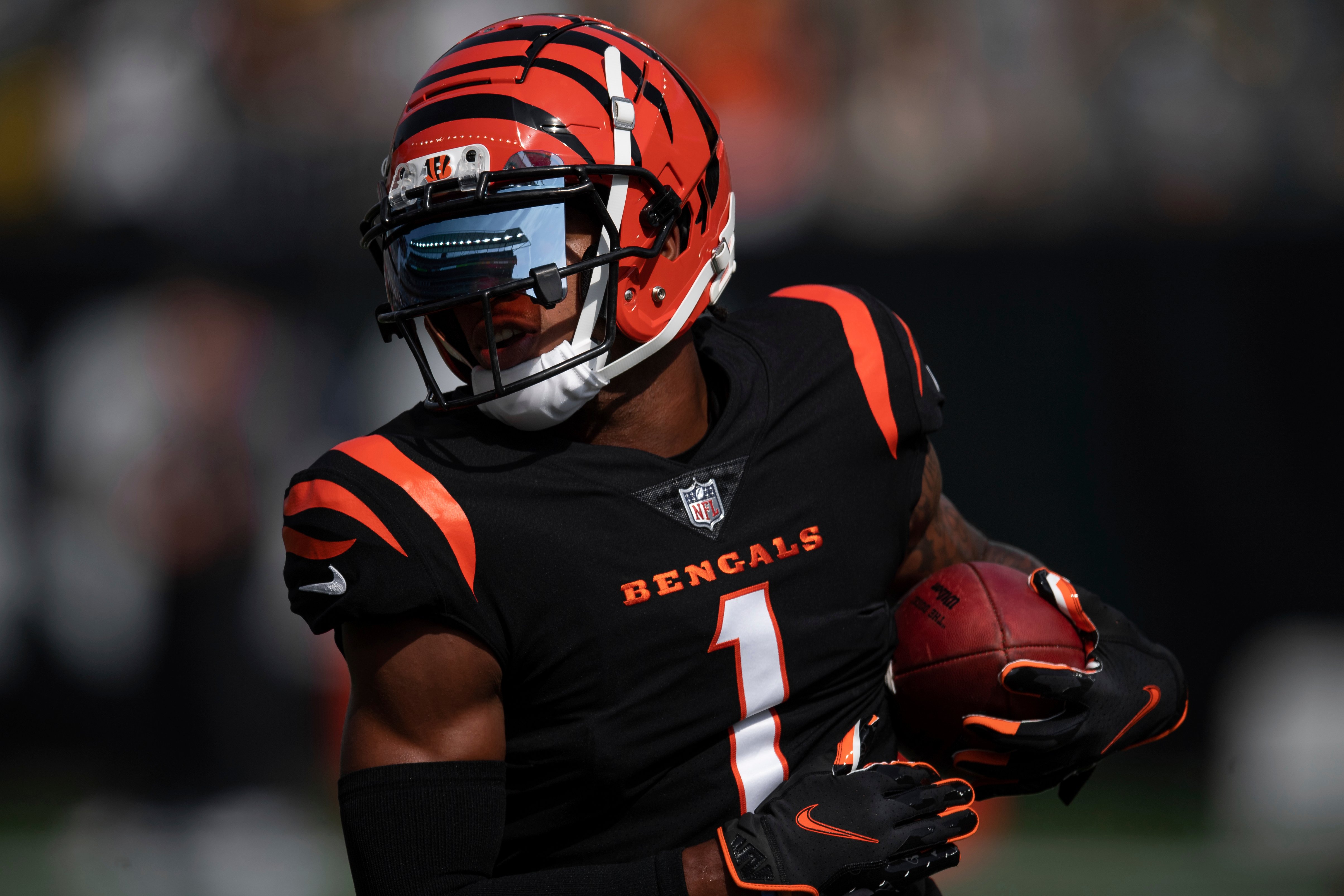 Bengals Wallpapers