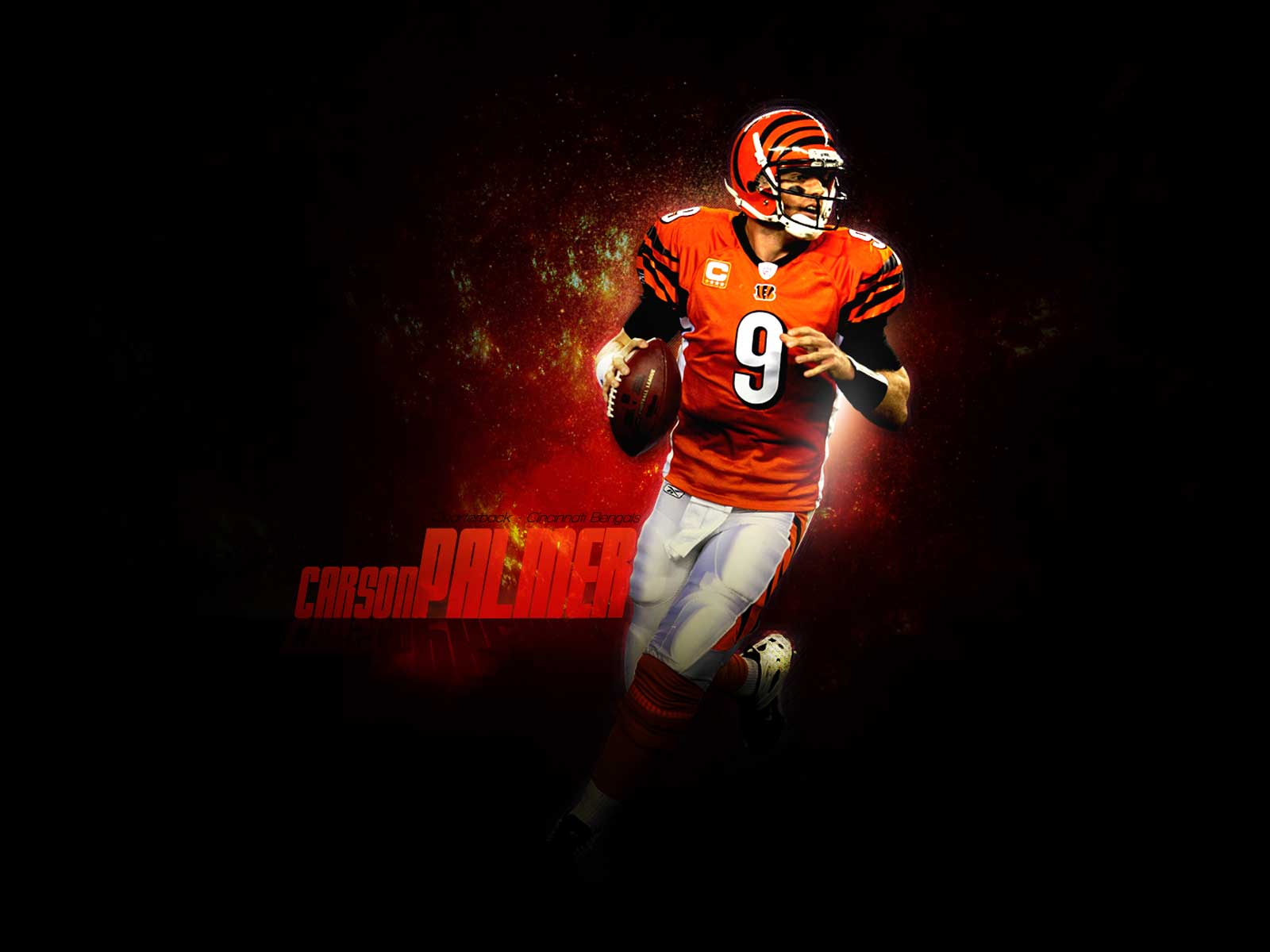 Bengals Wallpapers