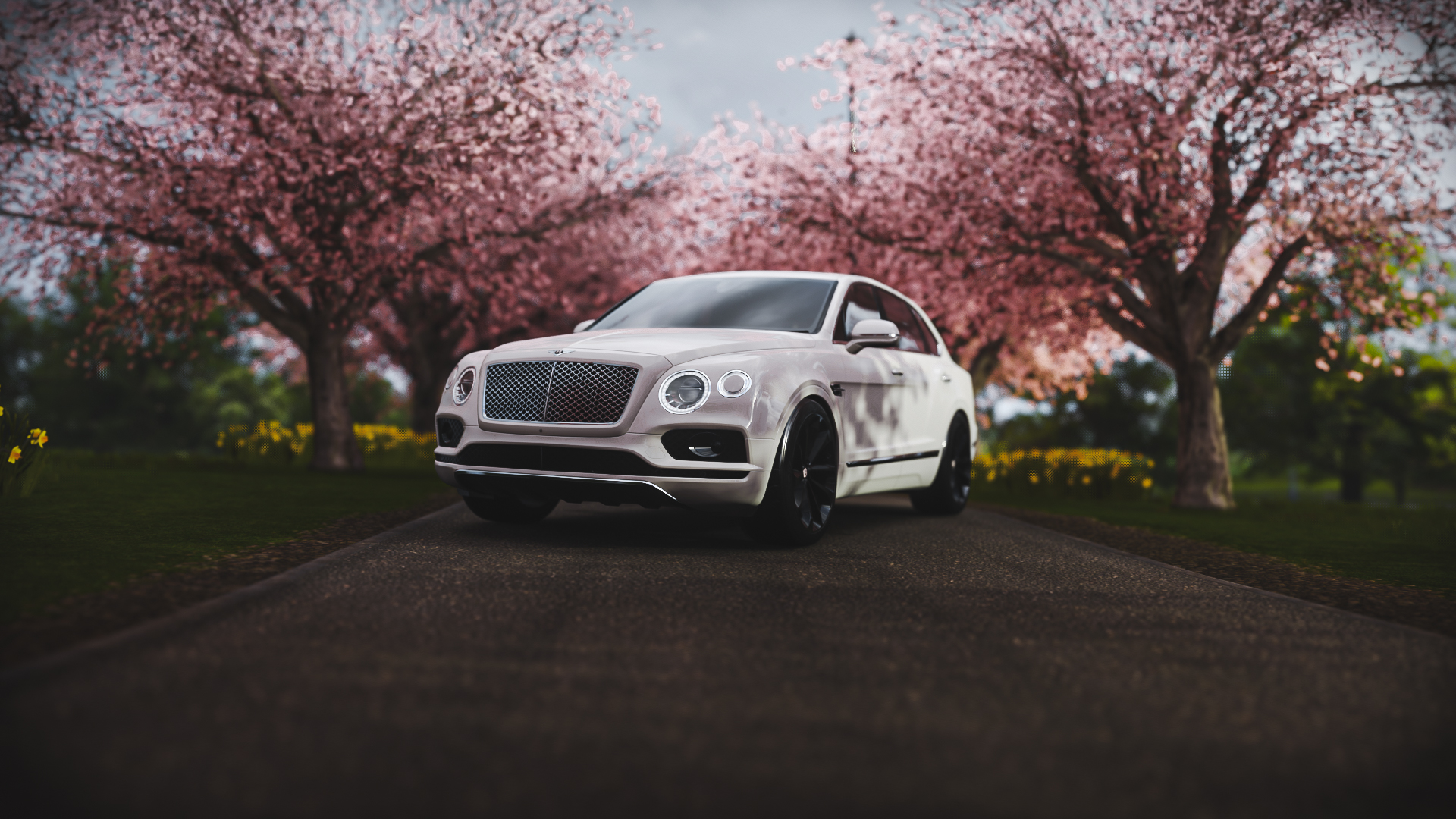 Bentley Bentayga Wallpapers