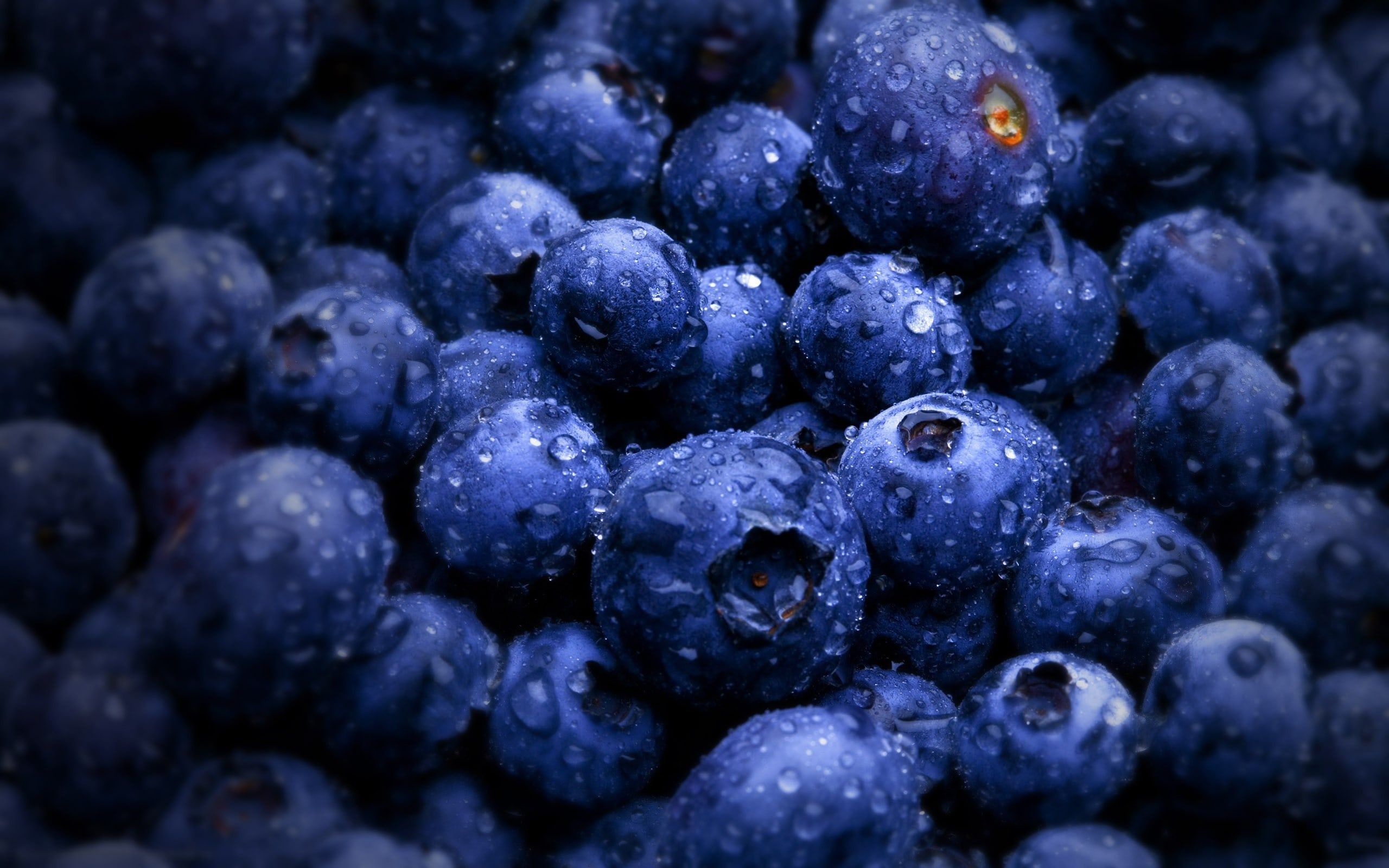 Berry Wallpapers