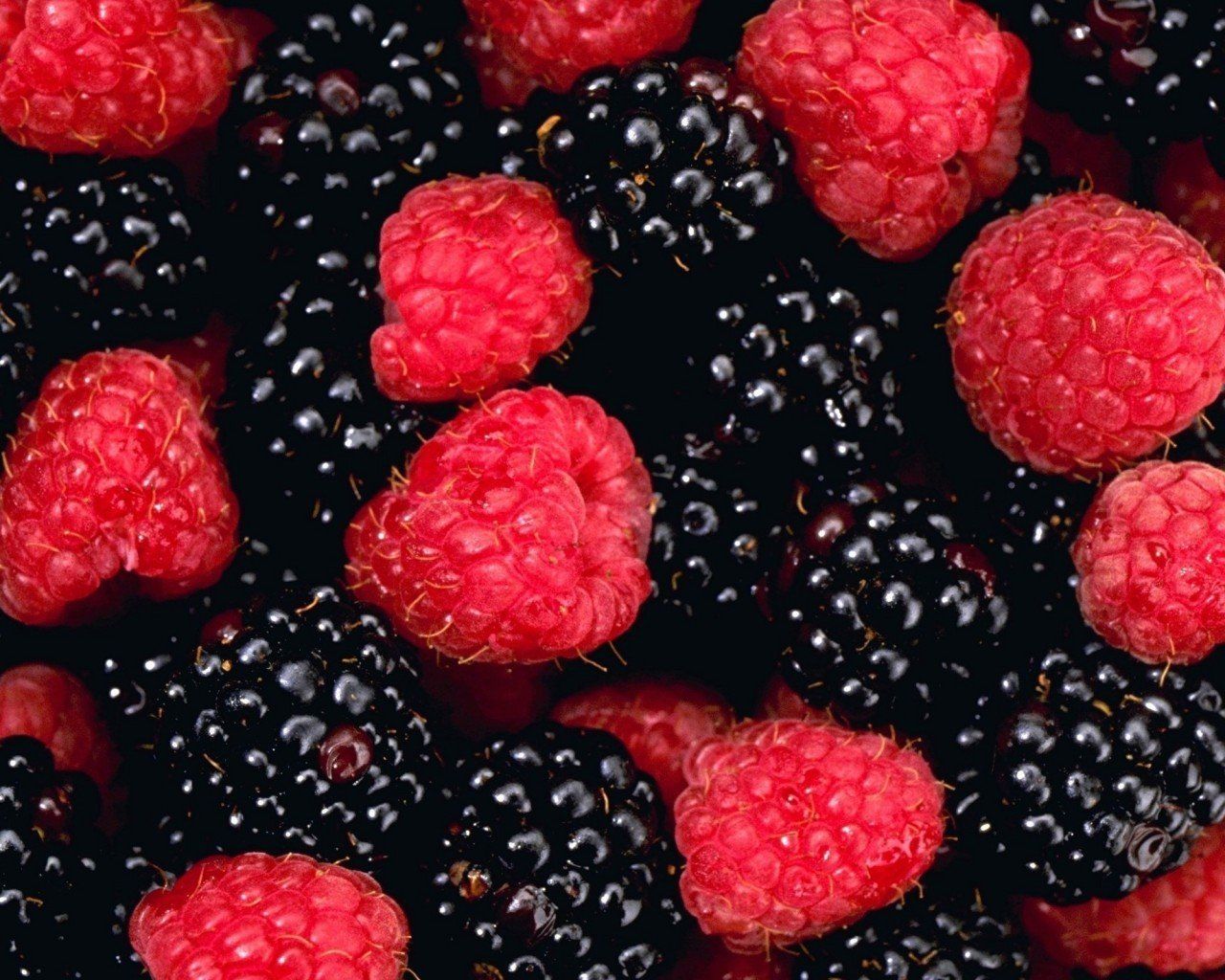 Berry Wallpapers