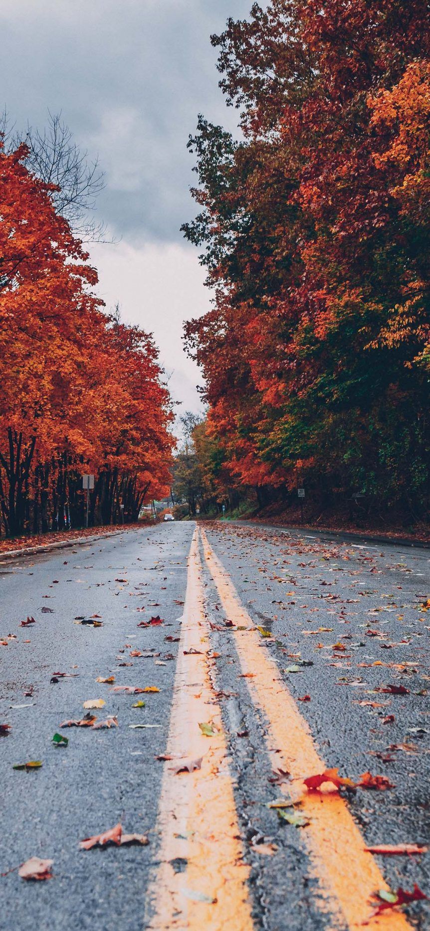 Best Autumn Wallpapers