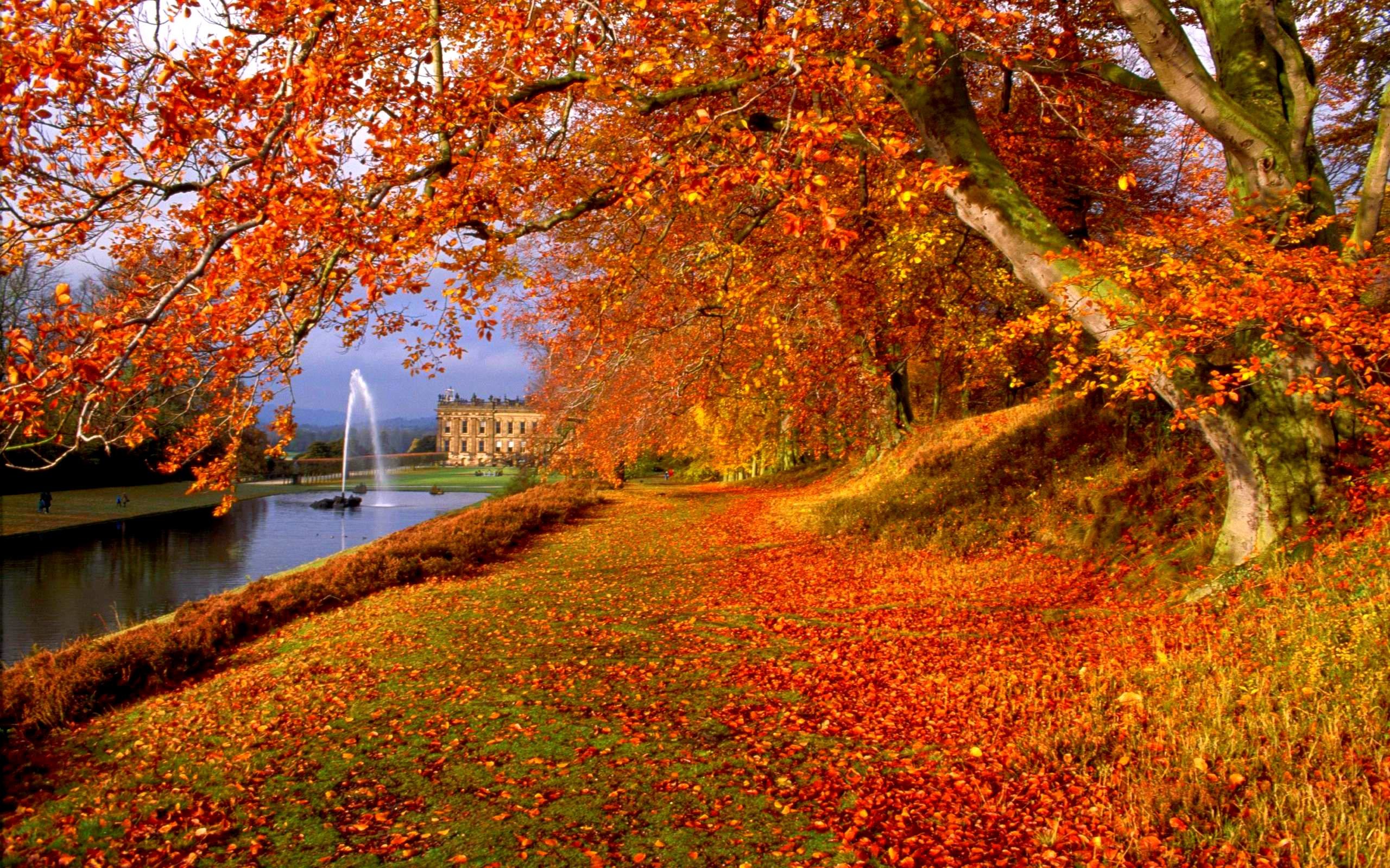 Best Autumn Wallpapers