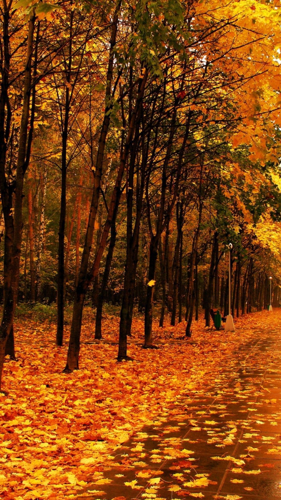 Best Autumn Wallpapers