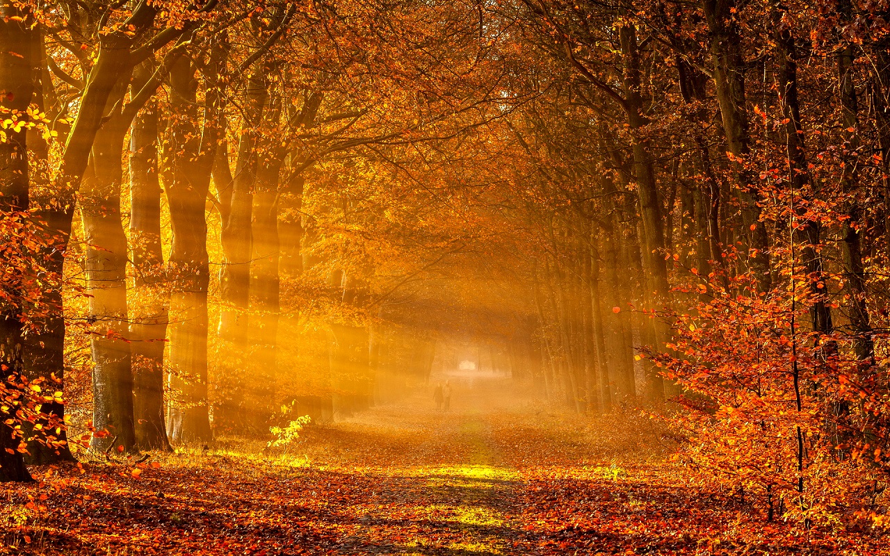 Best Autumn Wallpapers