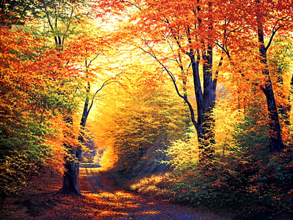 Best Autumn Wallpapers