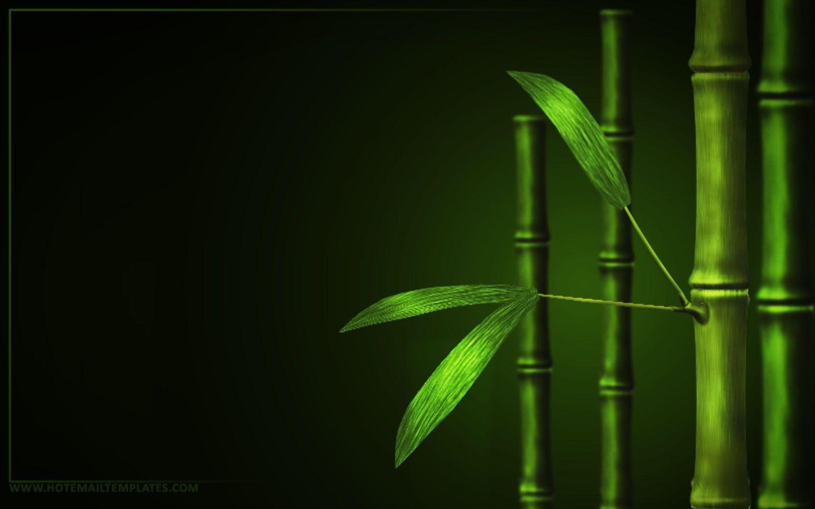 Best Bamboo Wallpapers