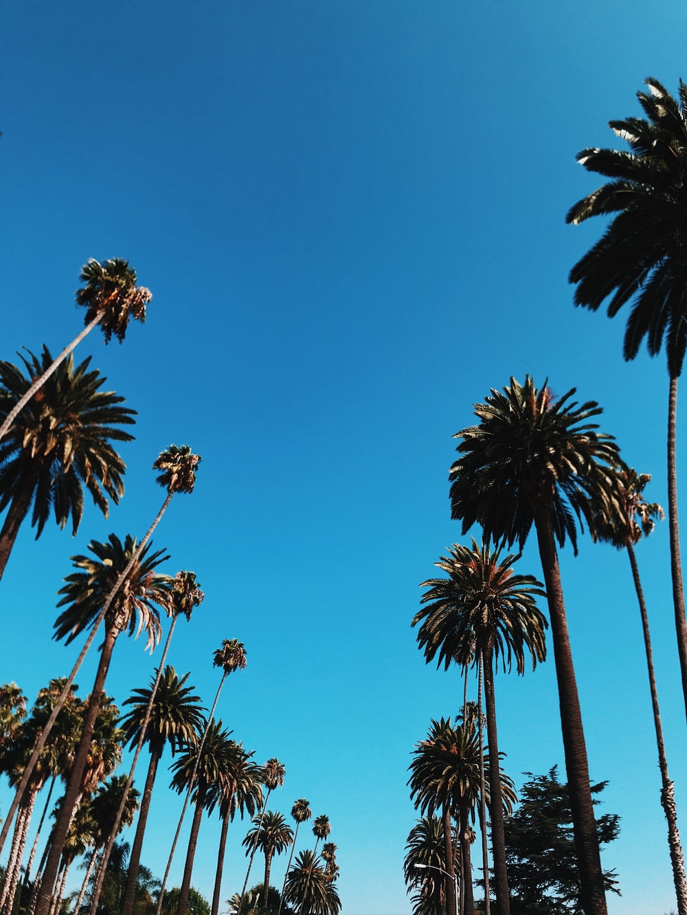 Best California Wallpapers