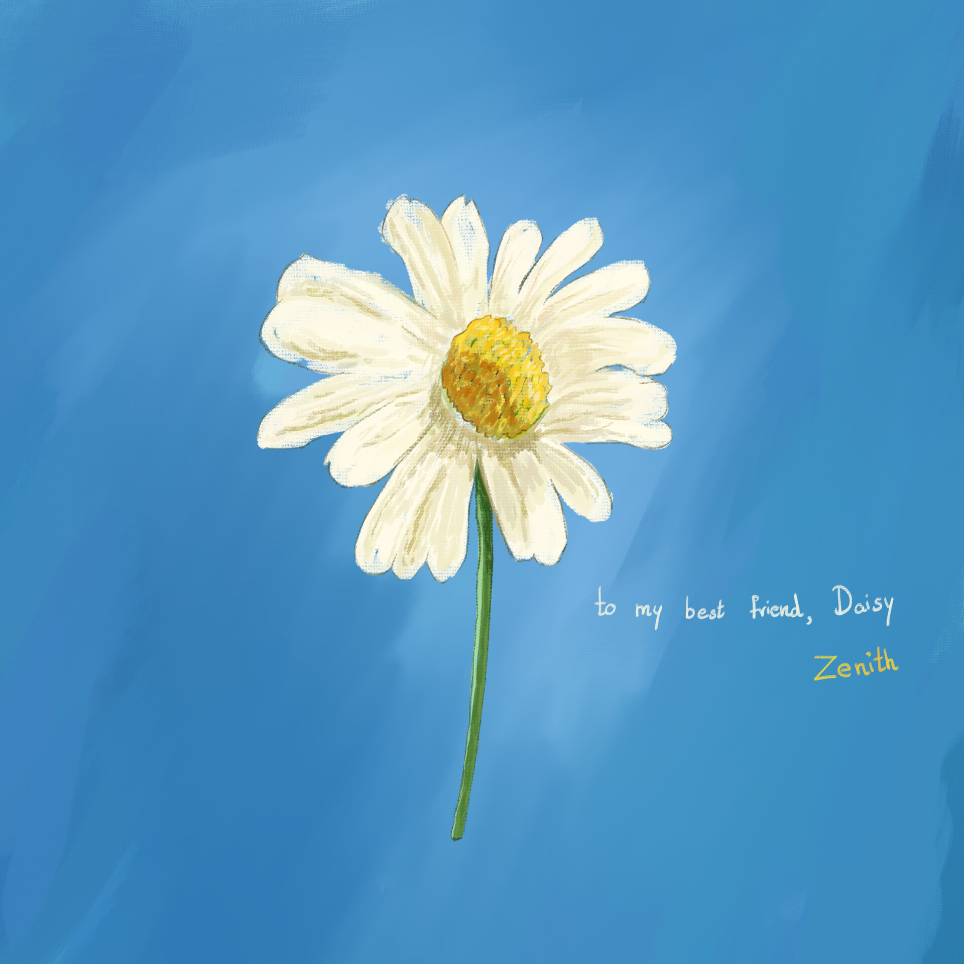 Best Daisies Backgrounds