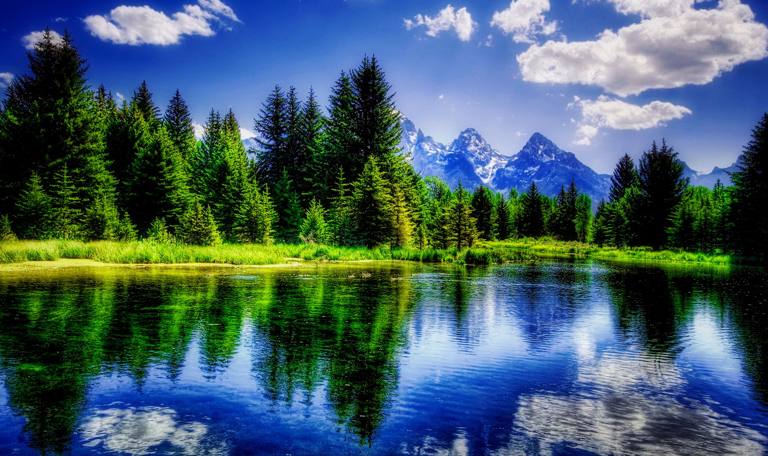 Best Nature Backgrounds