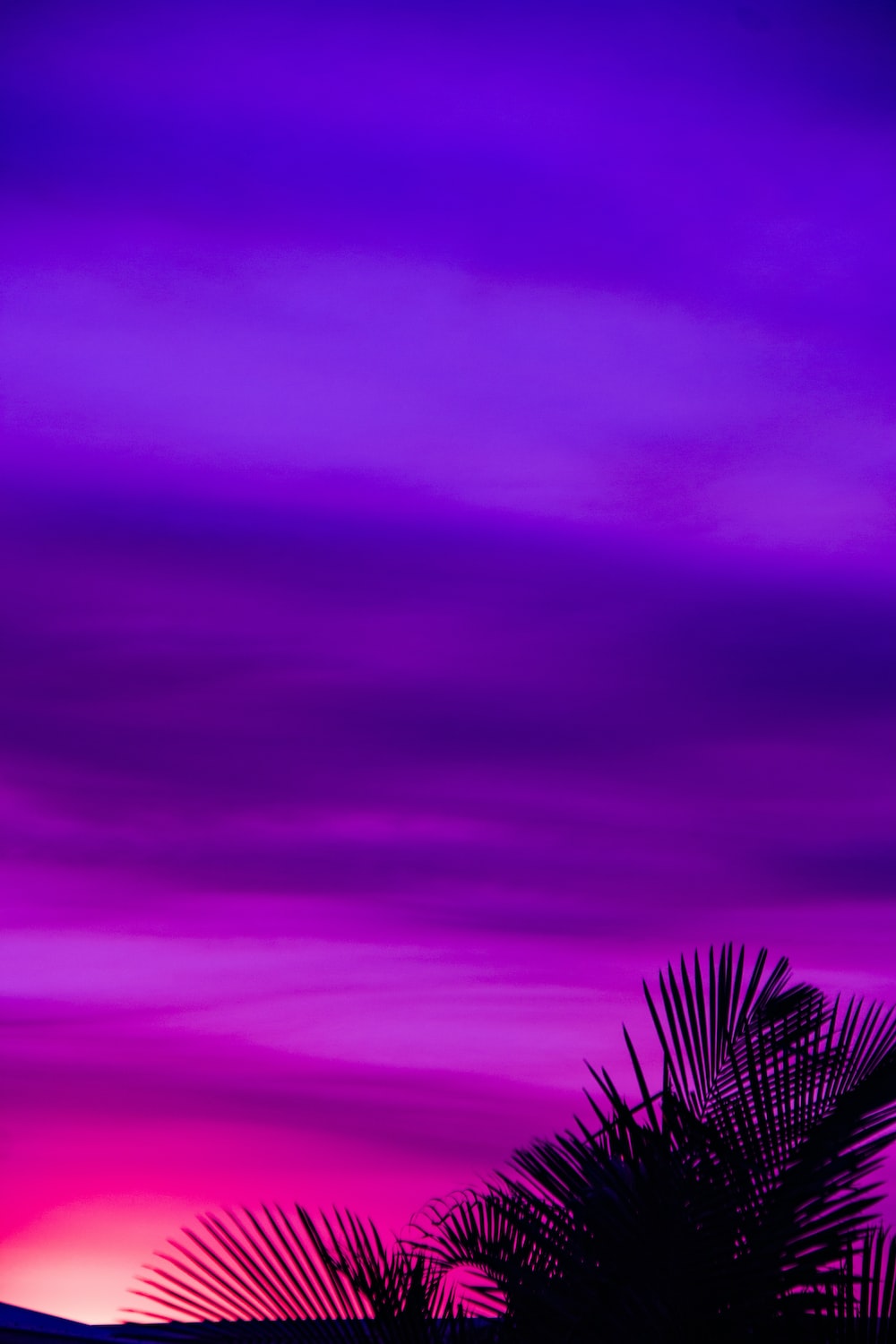 Best Purple Wallpapers