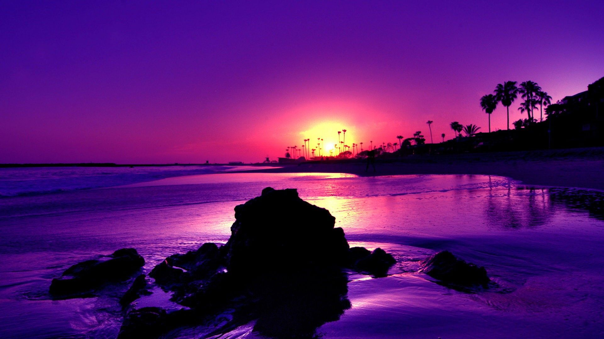 Best Purple Wallpapers