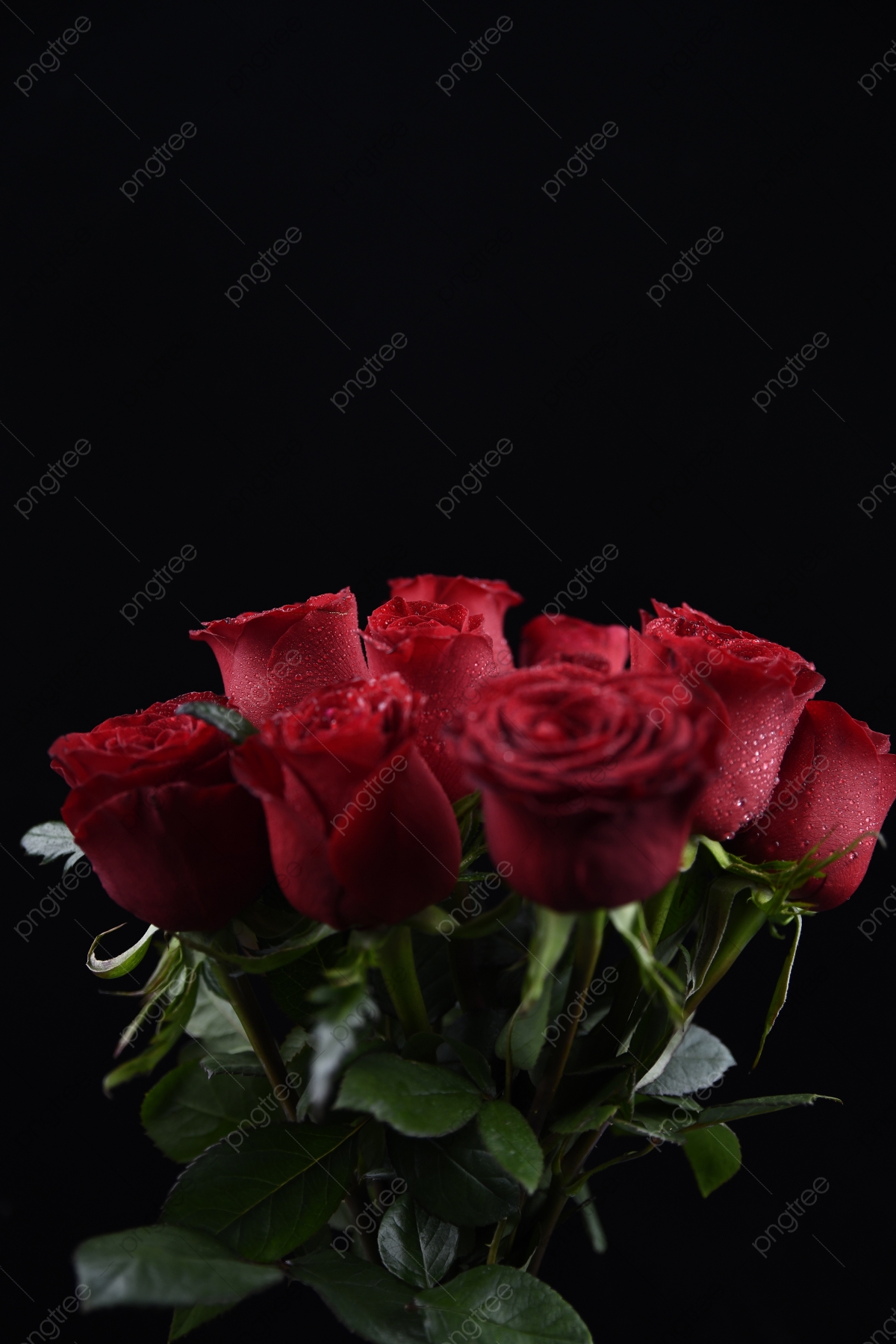 Best Roses Background