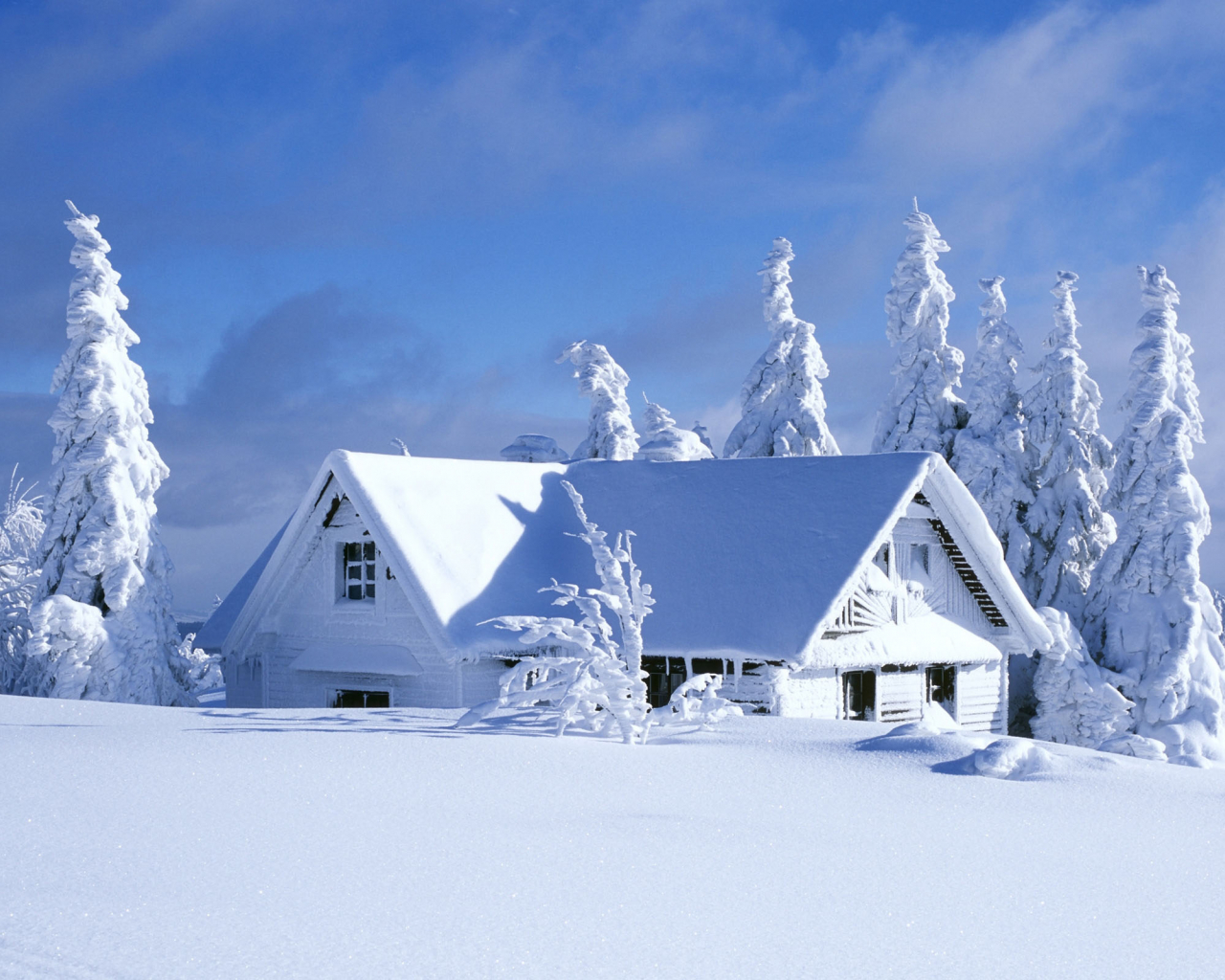 Best Winter Backgrounds