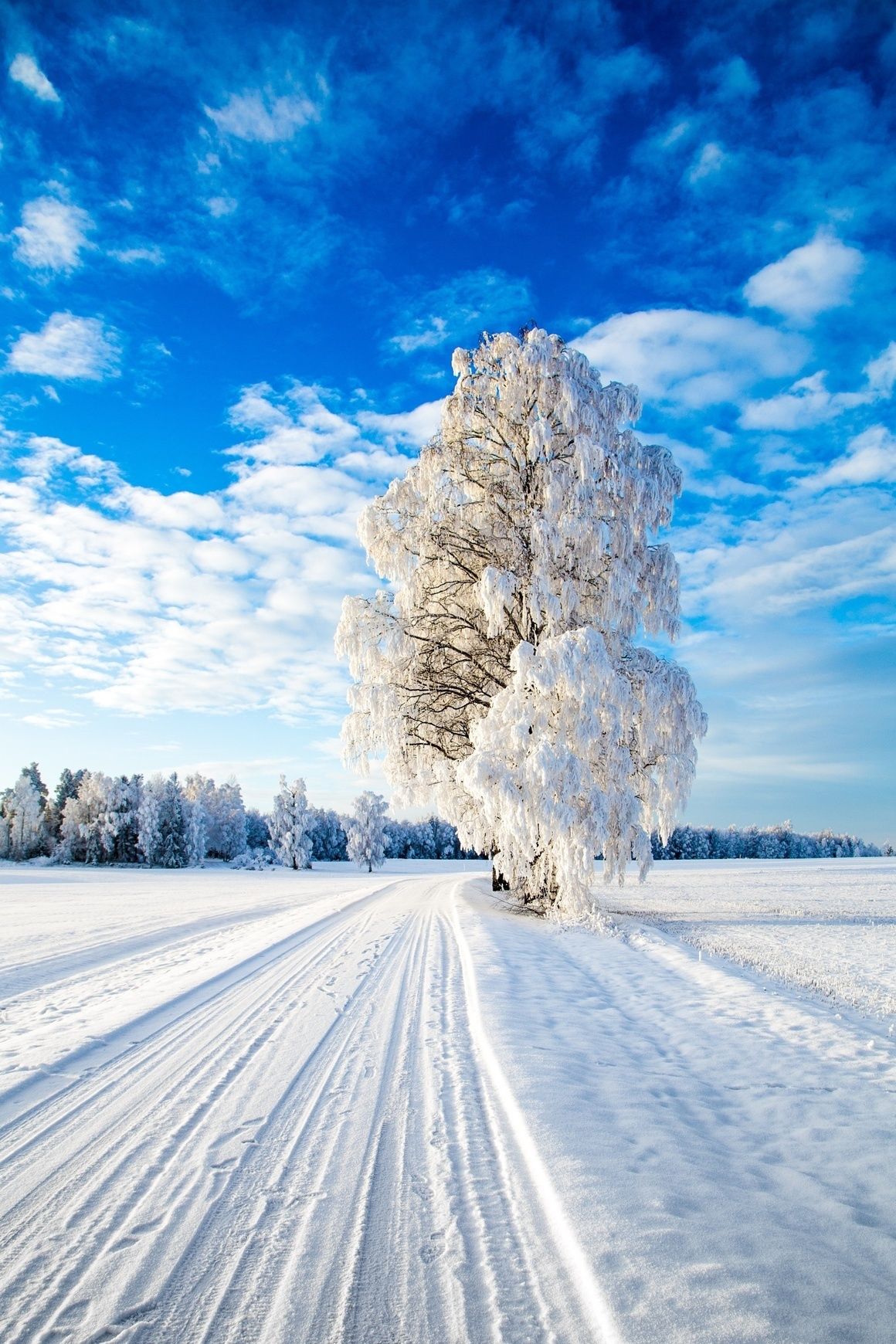 Best Winter Backgrounds