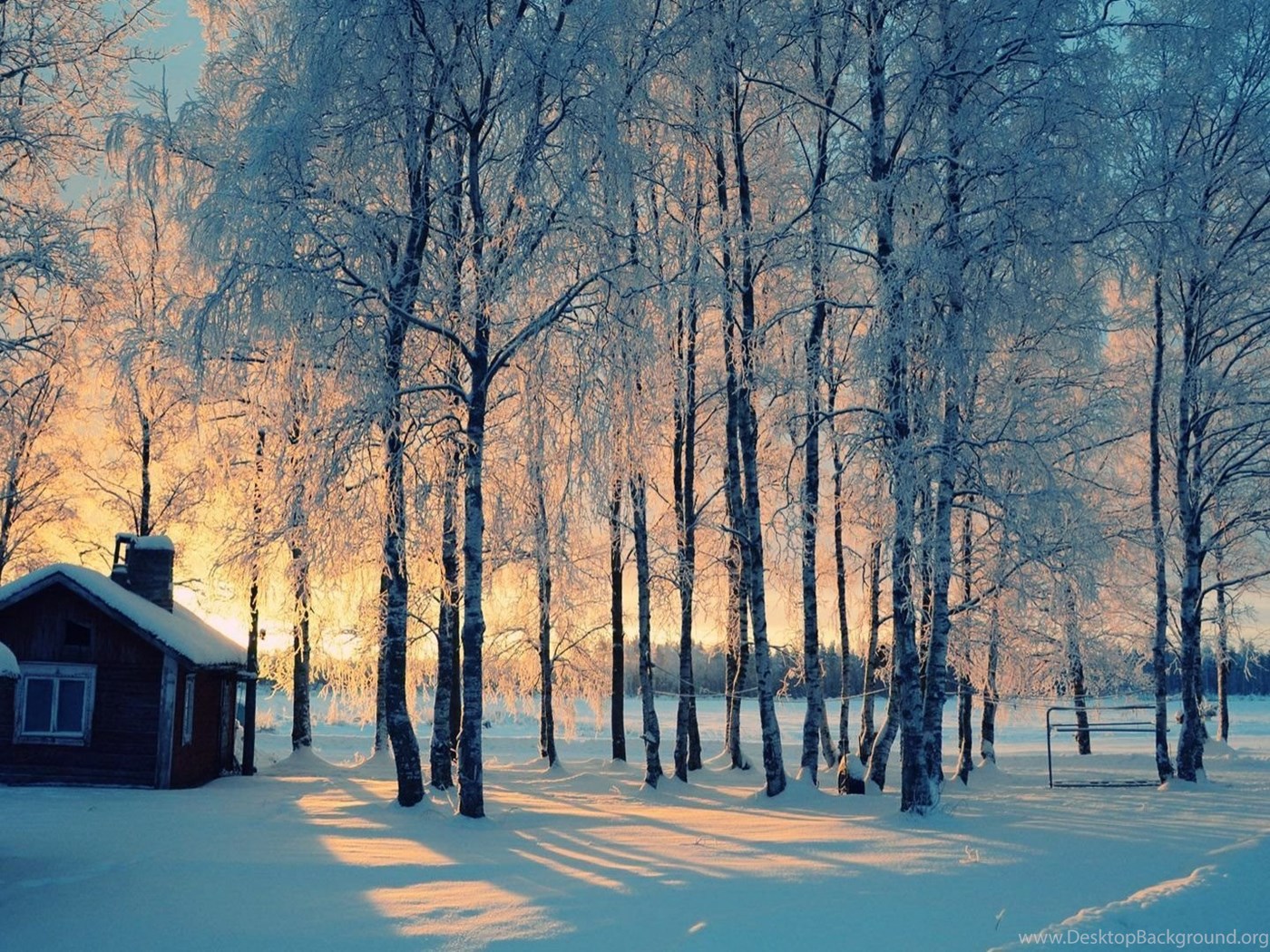 Best Winter Backgrounds