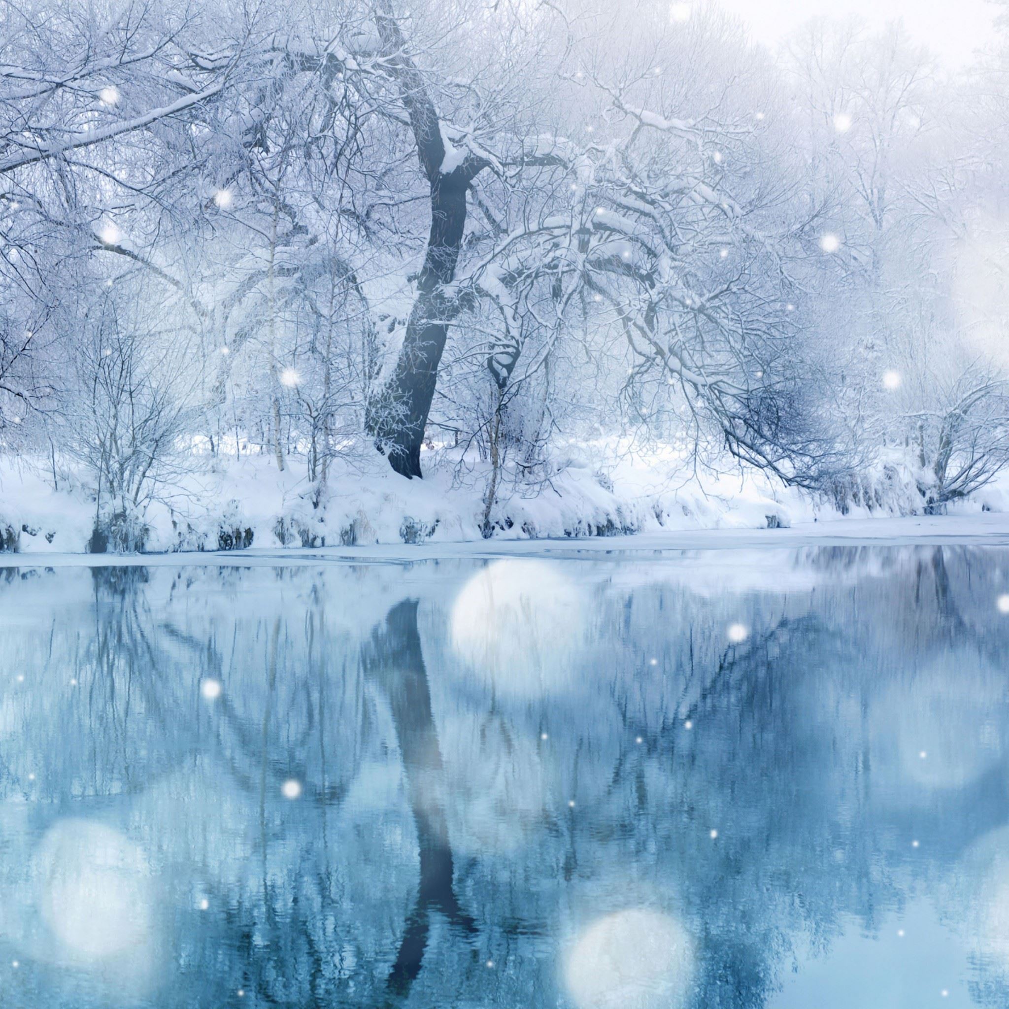 Best Winter Wallpapers