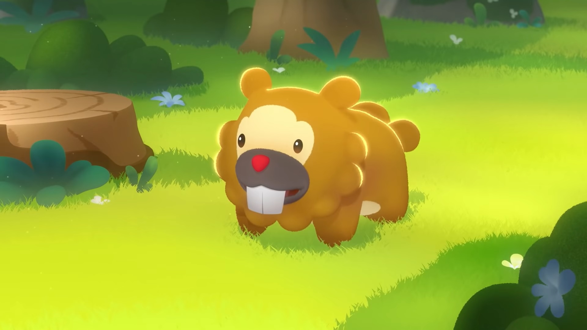 Bidoof Hd Wallpapers