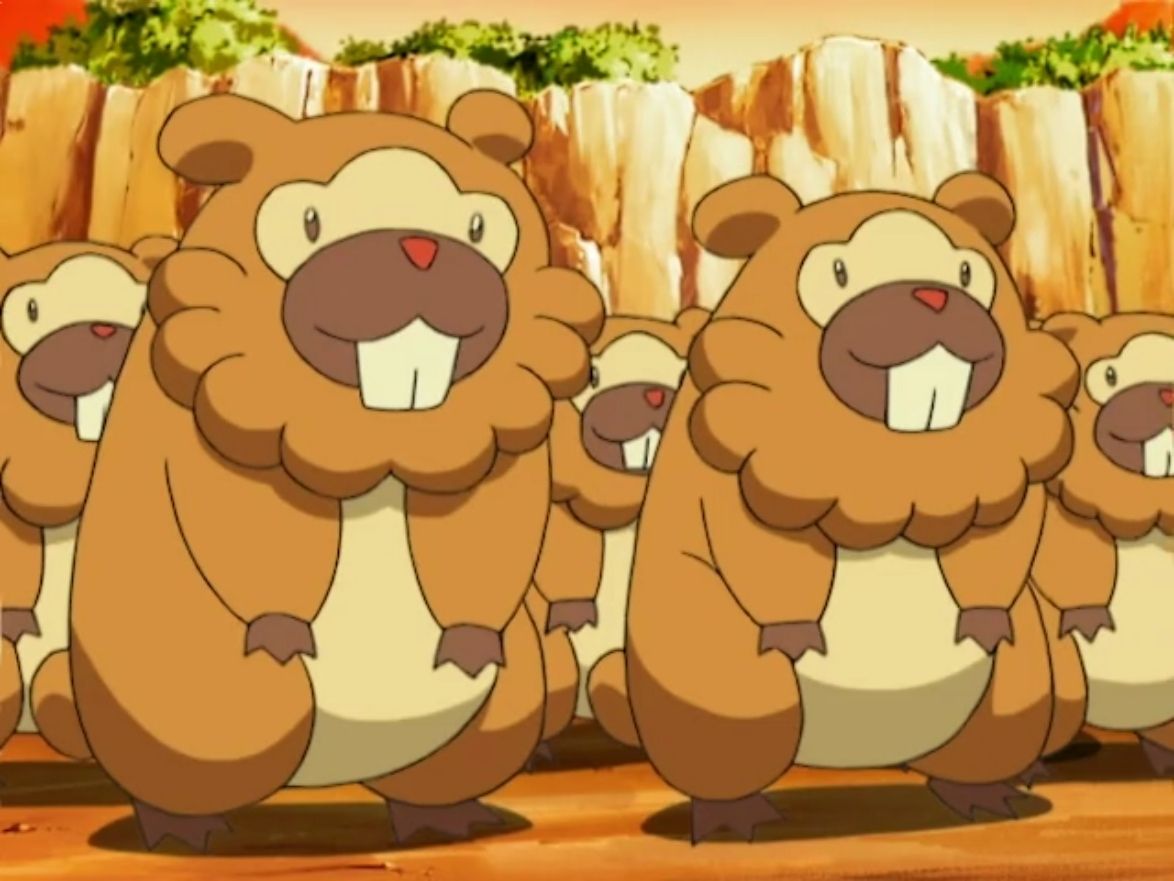 Bidoof Hd Wallpapers