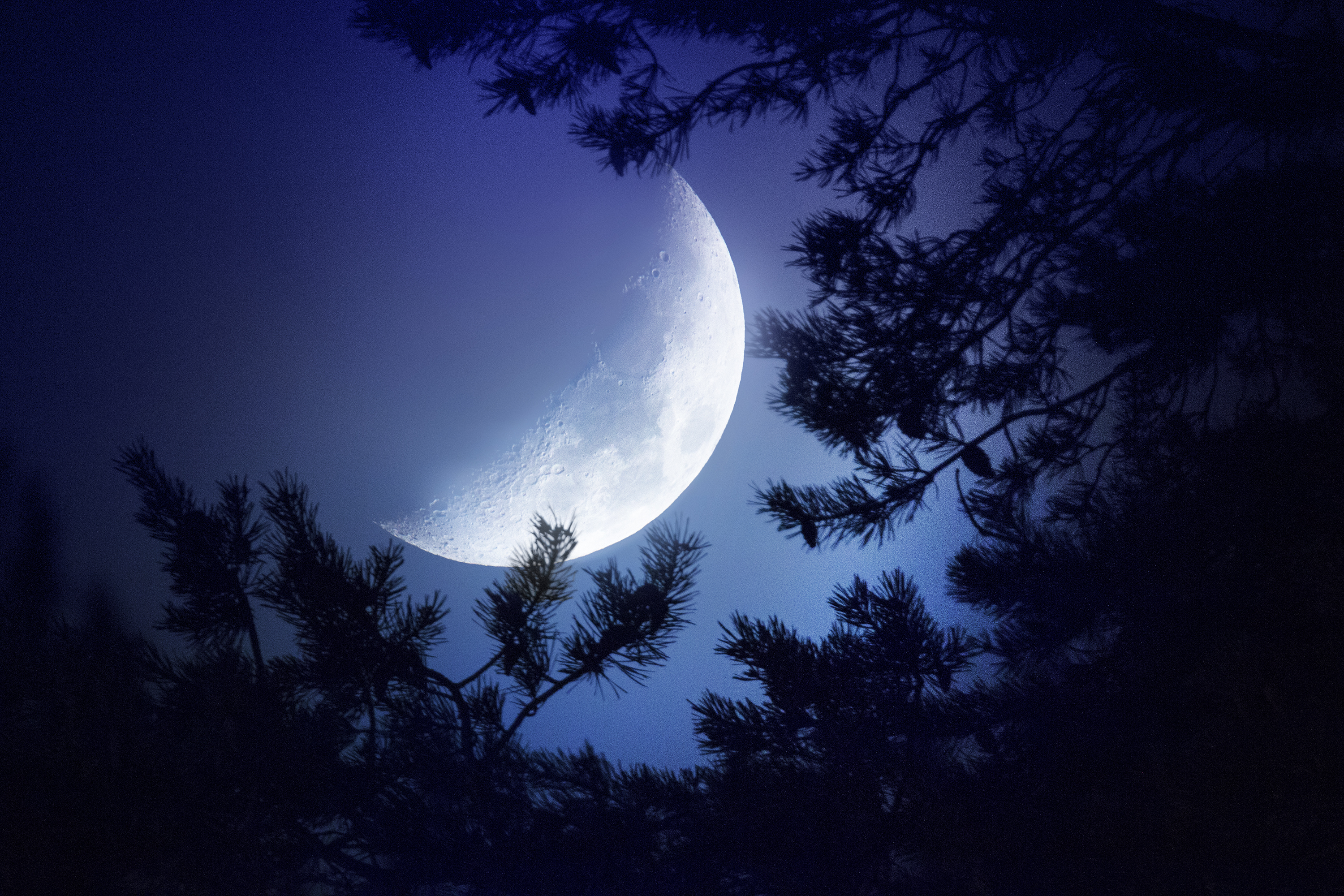 Big Moon Wallpapers