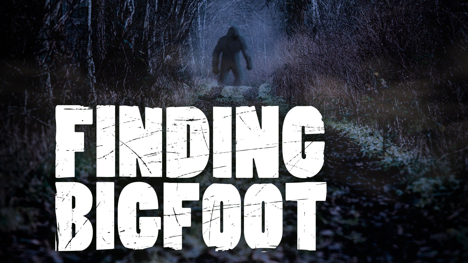 Bigfoot Wallpapers