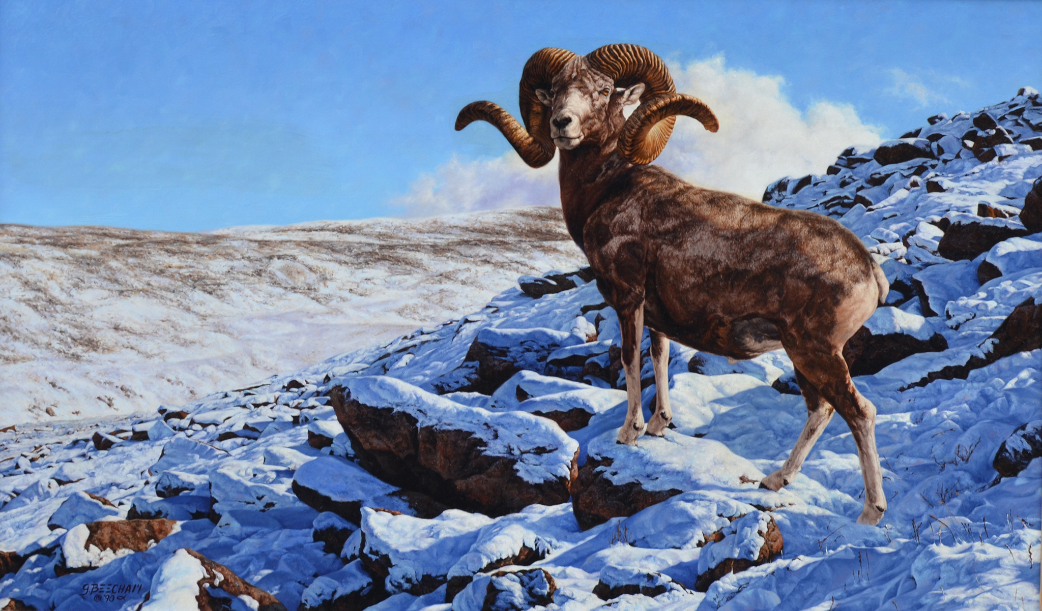 Bighorn Sheep Wallpapers