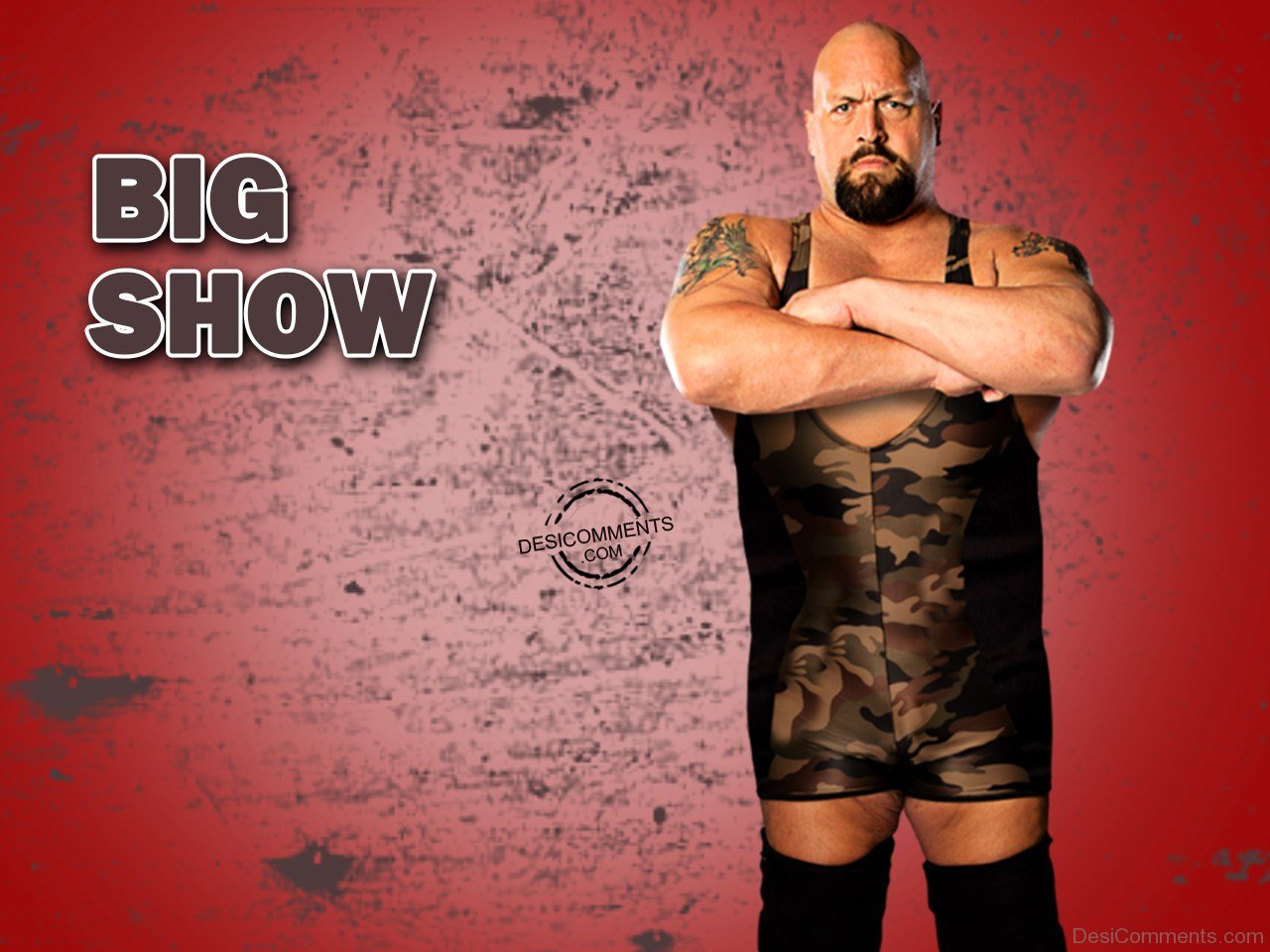 Bigshow Wallpapers