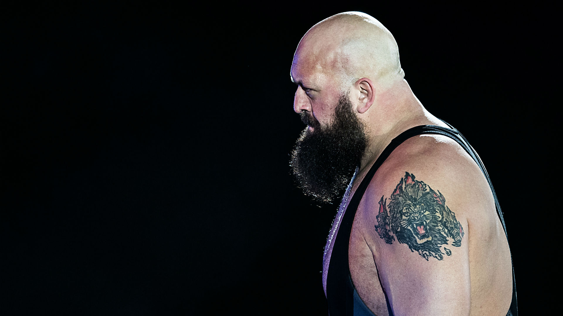 Bigshow Wallpapers