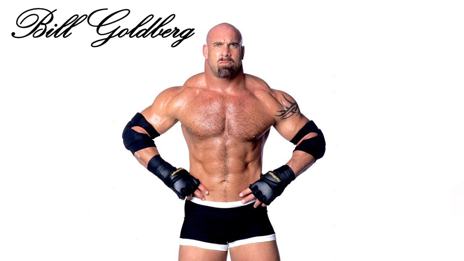 Bill Goldberg Pics Wallpapers