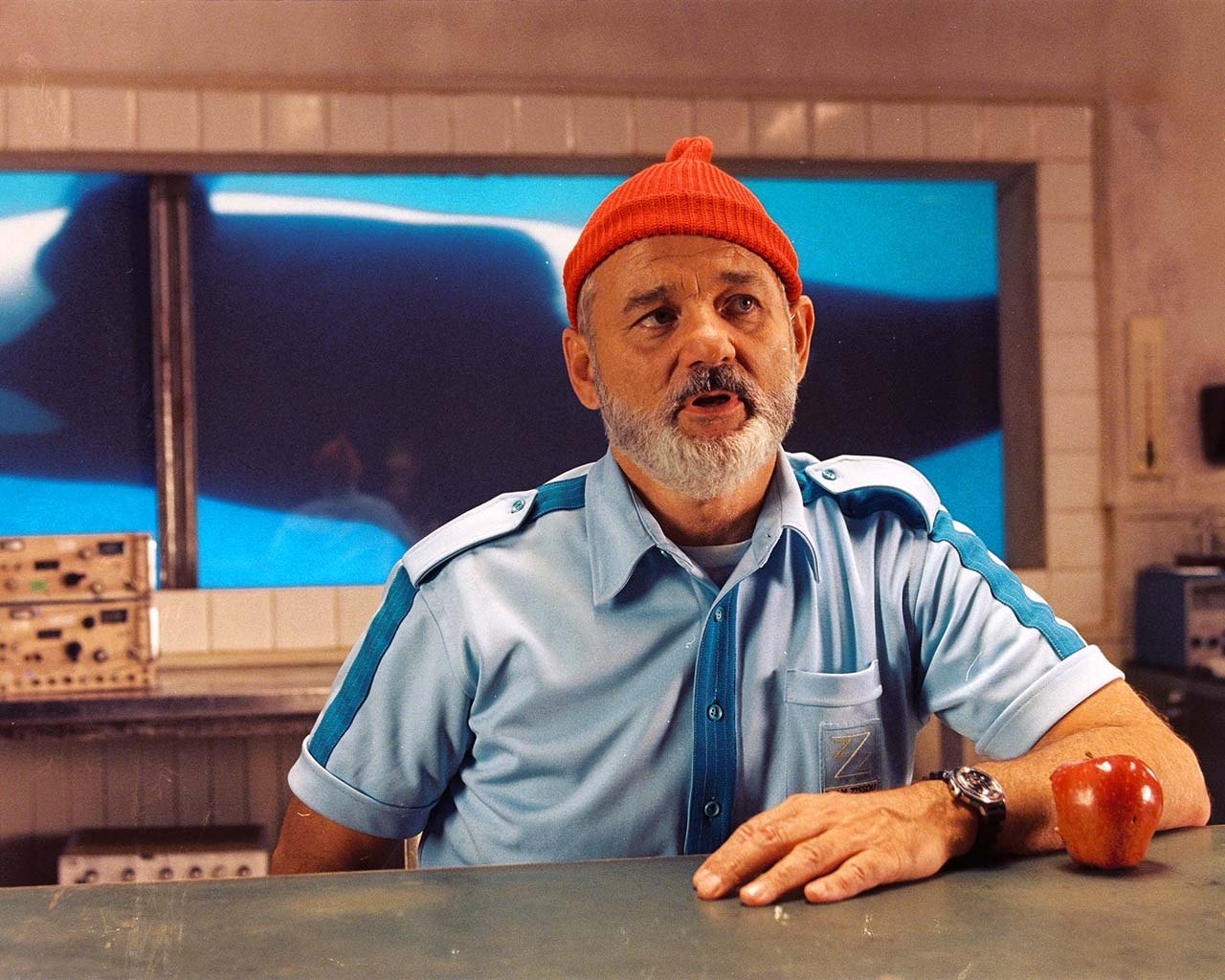 Bill Murray Wallpapers