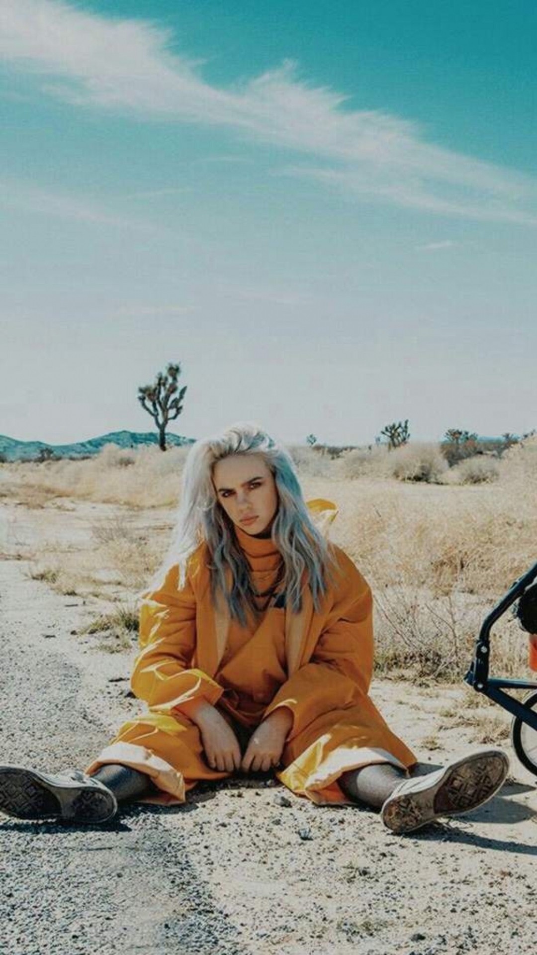 Billie Eilish Aesthetic Pictures Wallpapers