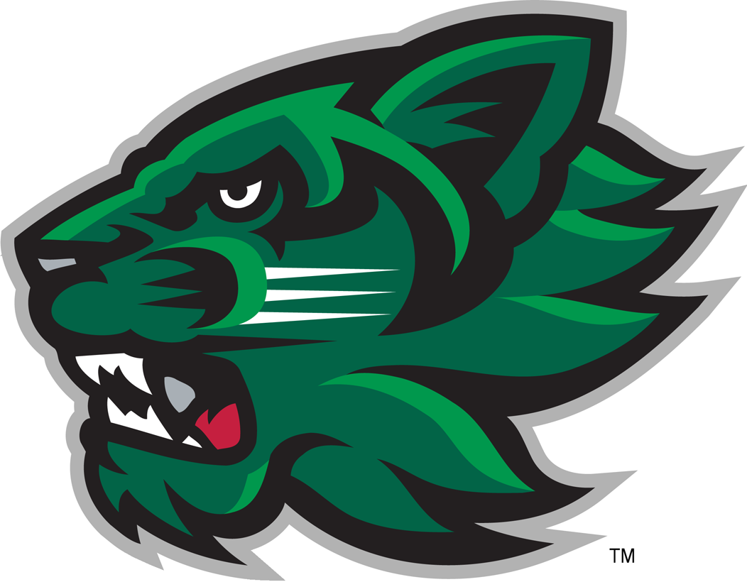 Binghamton University Bearcats Wallpapers