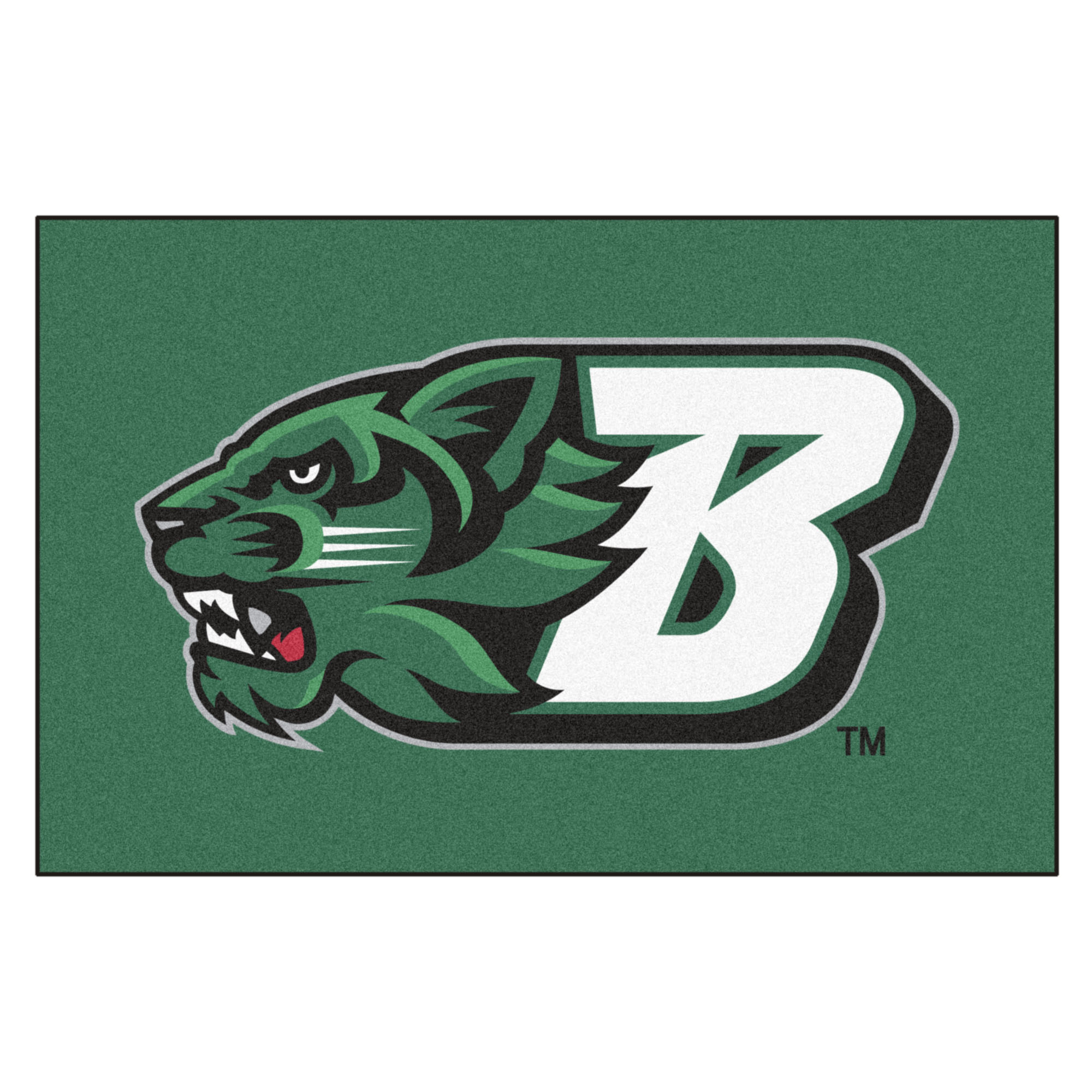 Binghamton University Bearcats Wallpapers