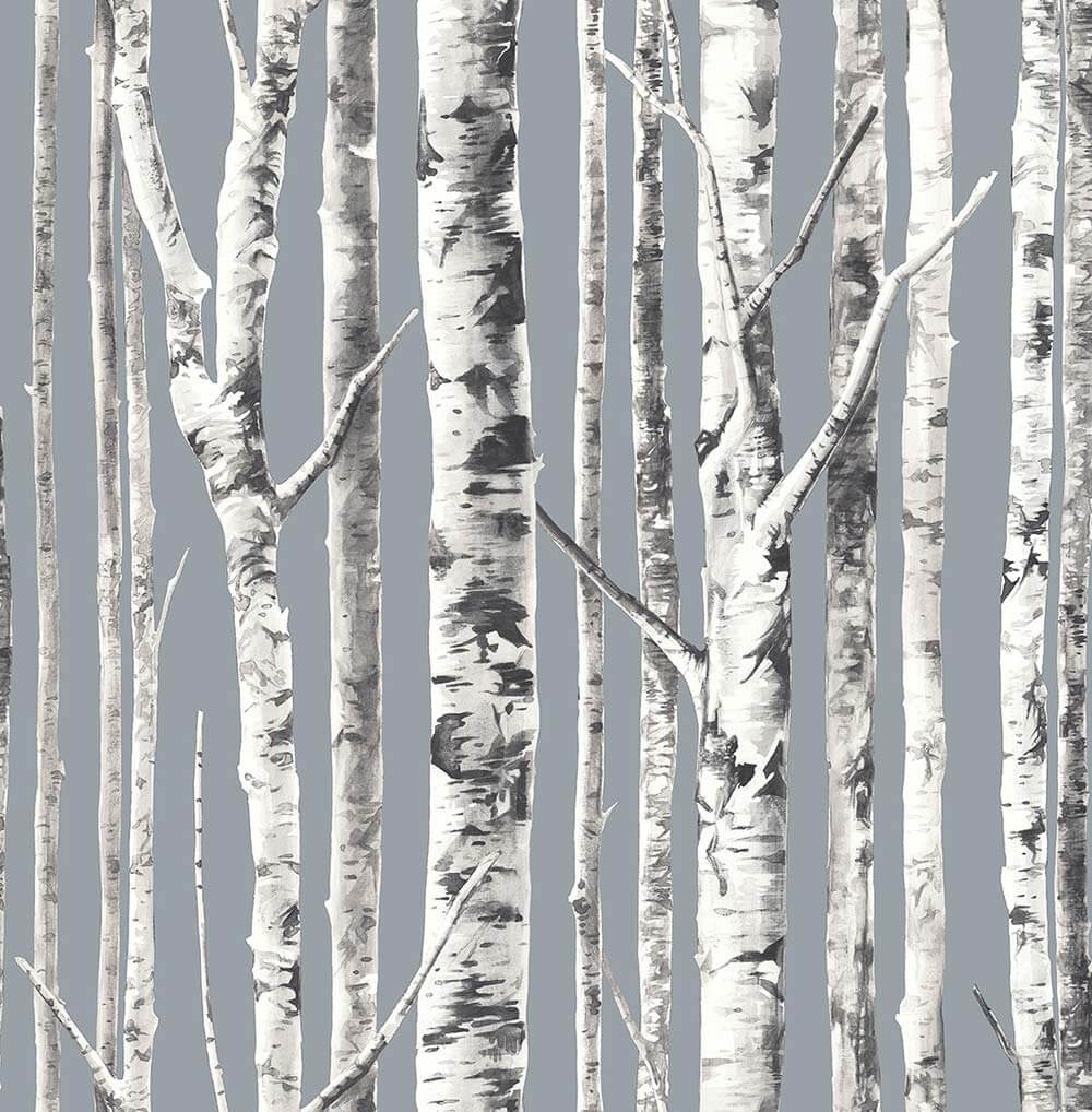 Birch Tree Forest Wallpapers