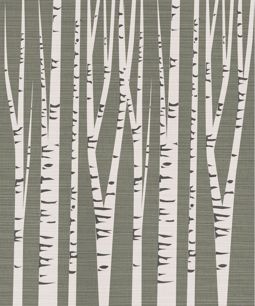 Birch Tree Wallpapers