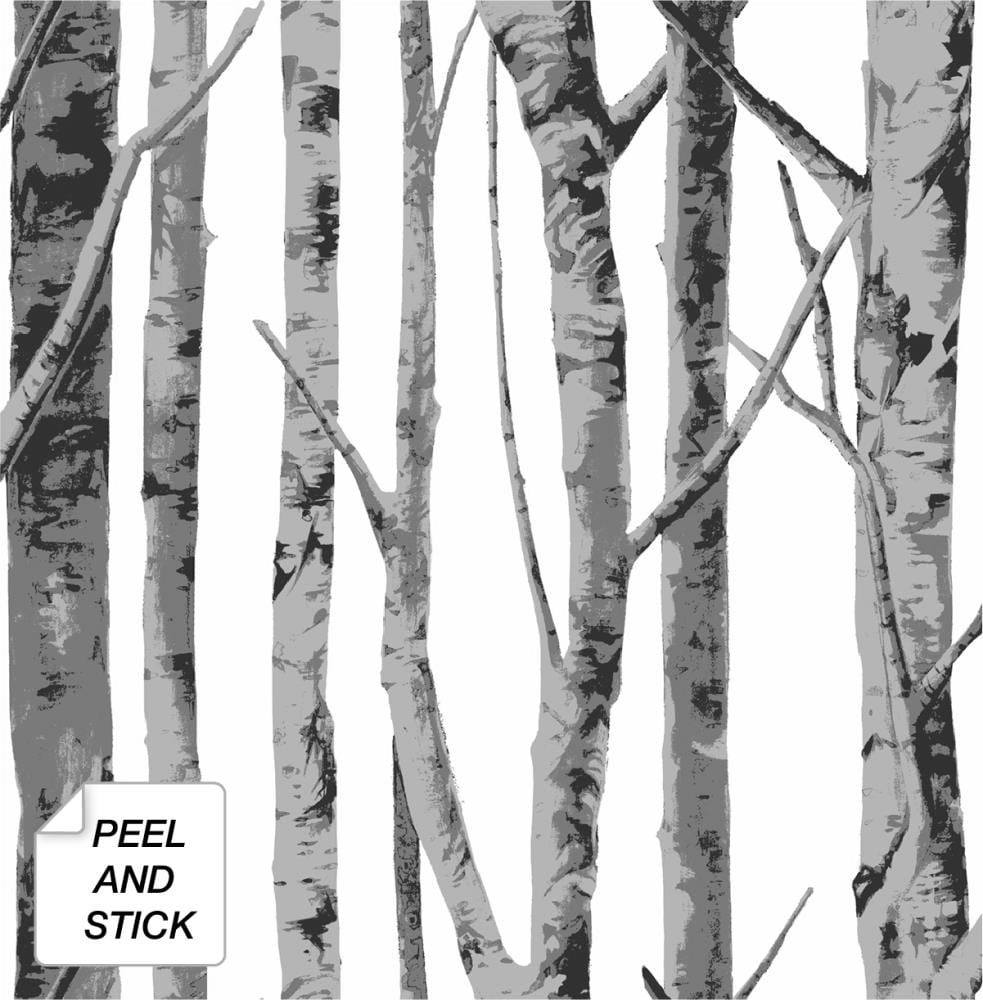 Birch Tree Wallpapers