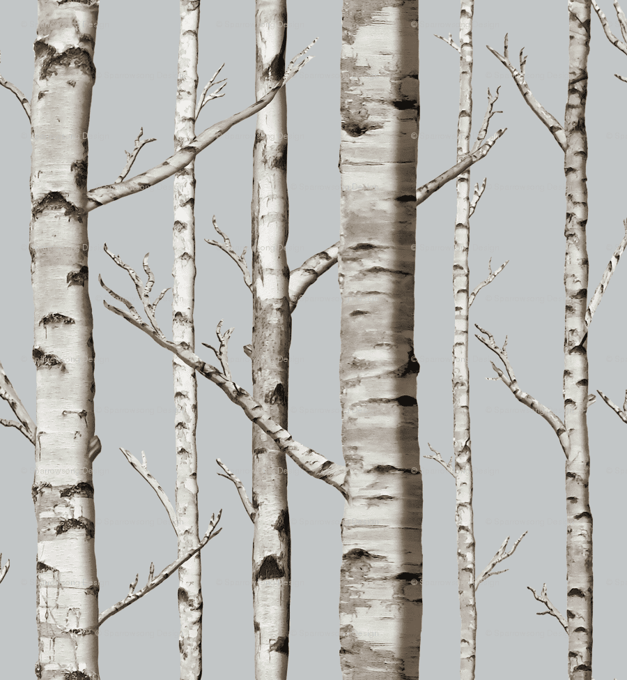 Birch Tree Wallpapers