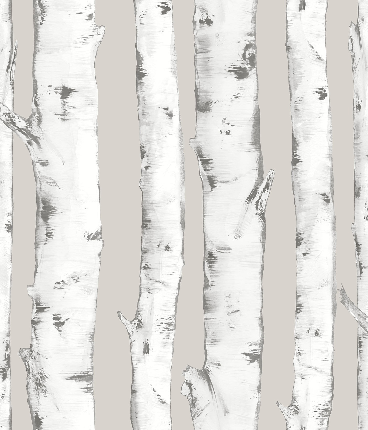 Birch Wallpapers