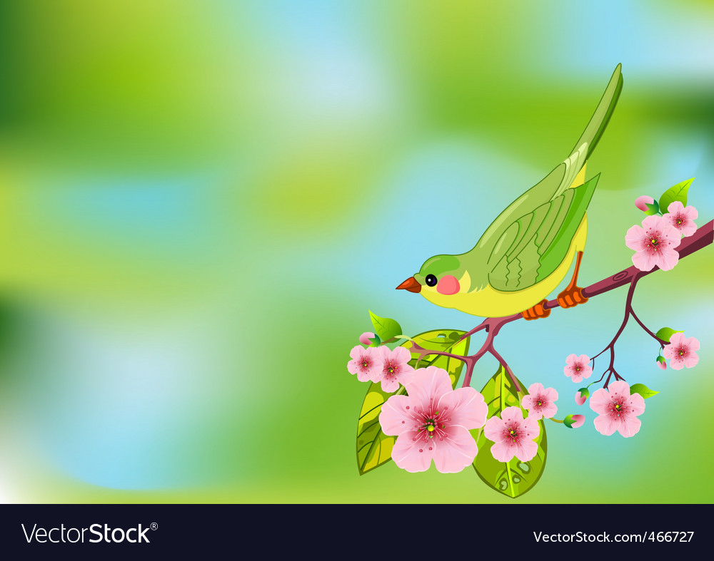 Bird Background